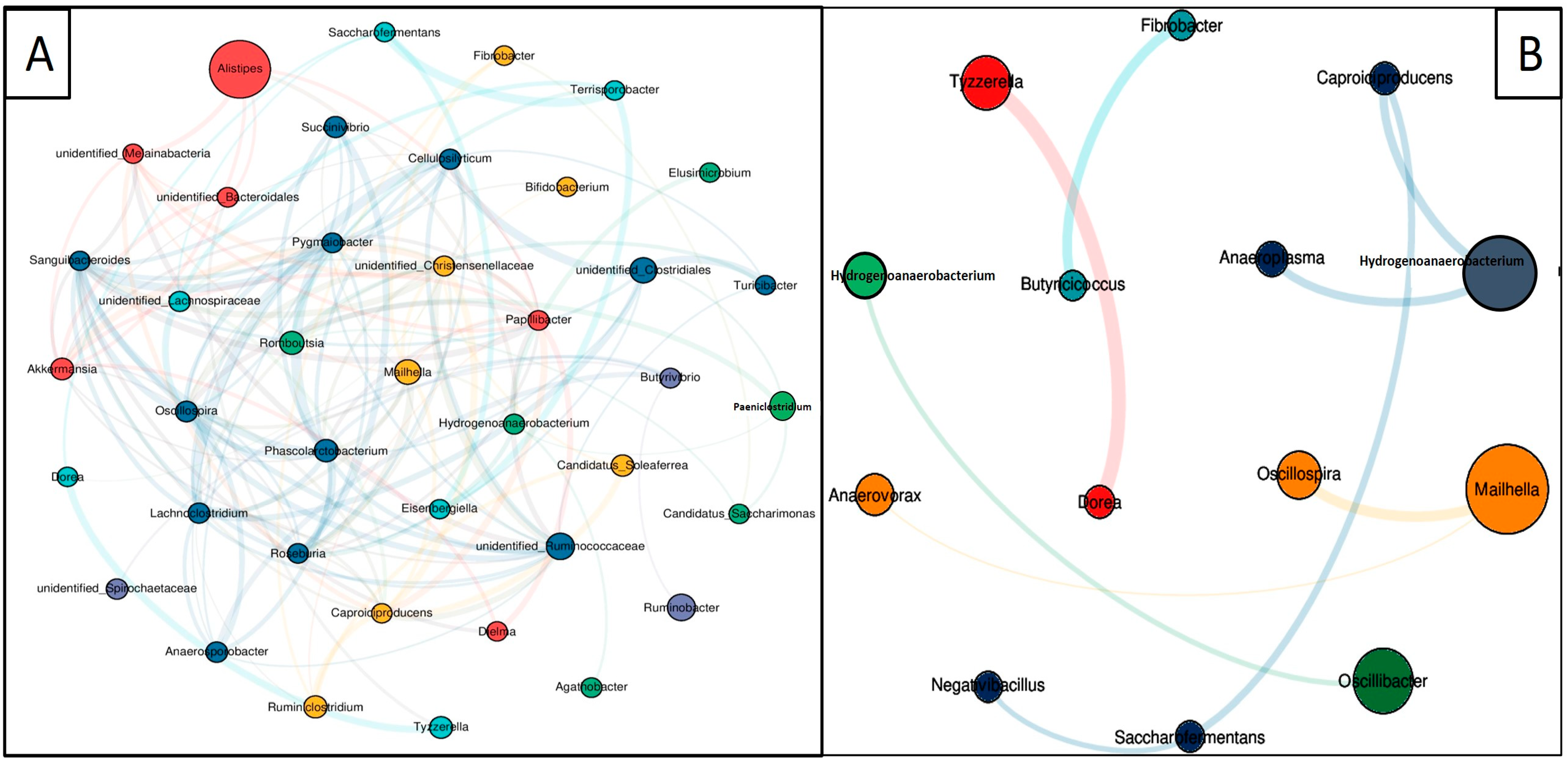 Animals 14 02380 g006 Animals 14 02380 g006
