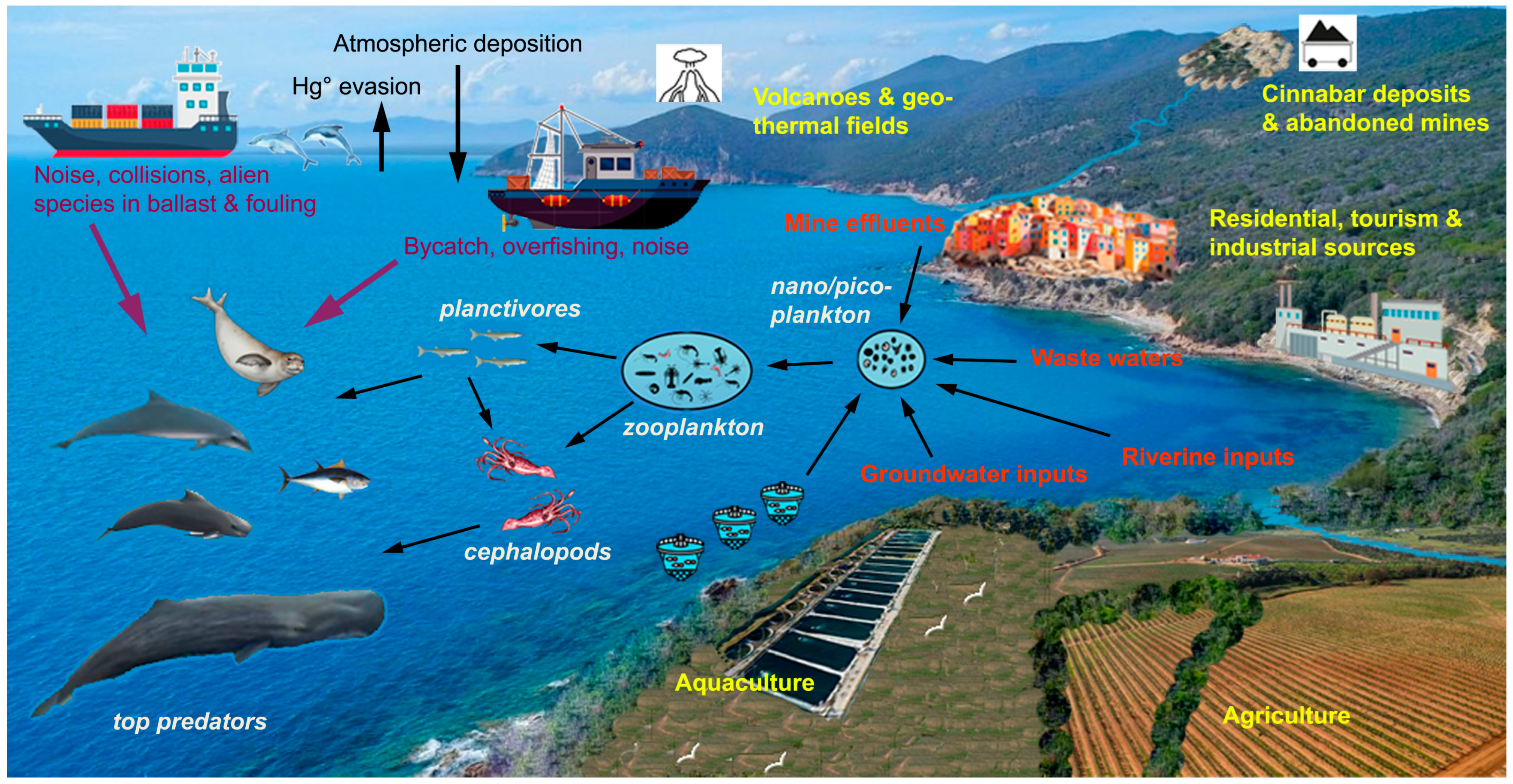 Animals 14 02386 g001 Animals 14 02386 g001