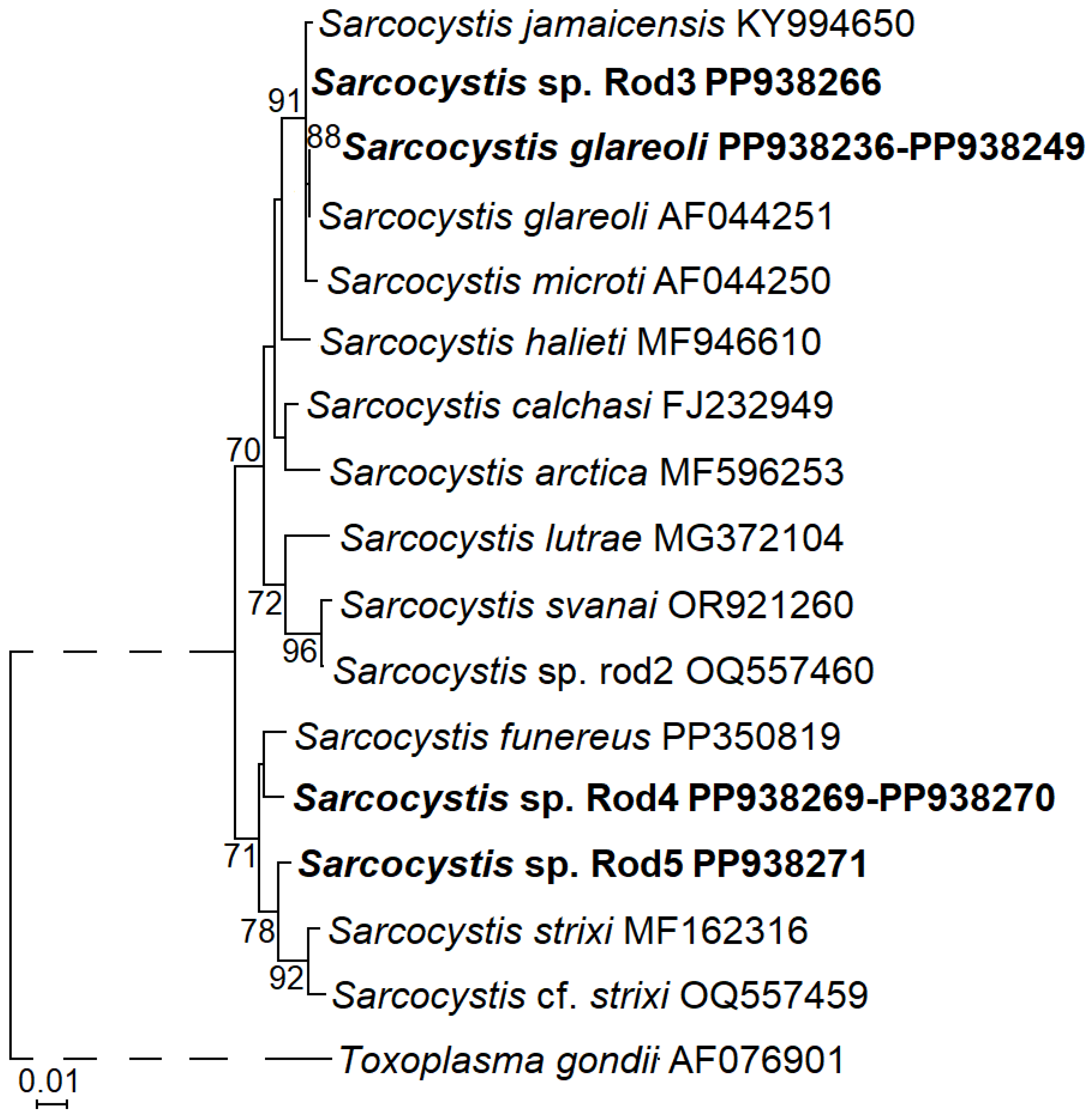 Animals 14 02391 g002 Animals 14 02391 g002