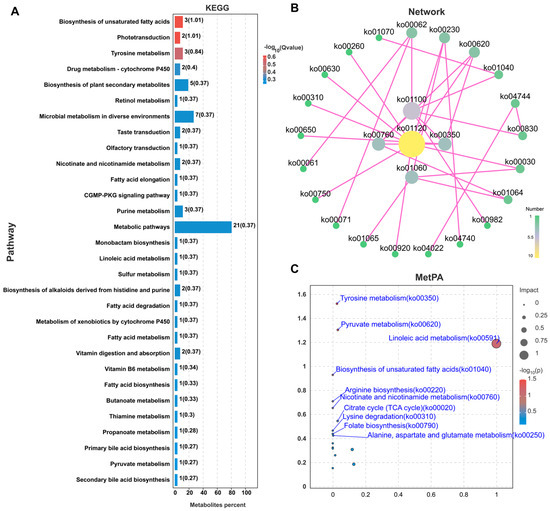 Effect of Early Ciprofloxacin Administration on Growth Effect of Early Ciprofloxacin Administration on Growth