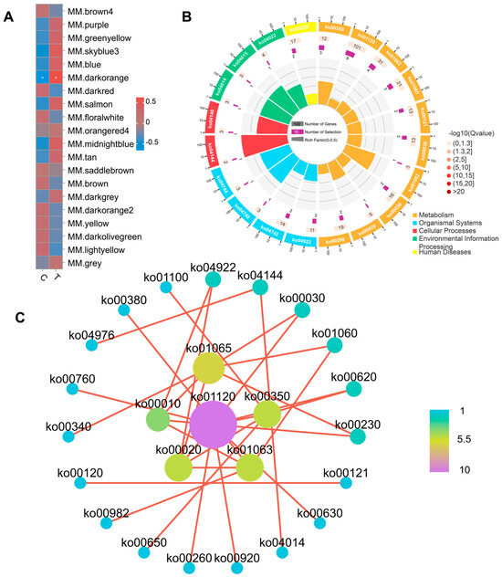 Effect of Early Ciprofloxacin Administration on Growth Effect of Early Ciprofloxacin Administration on Growth