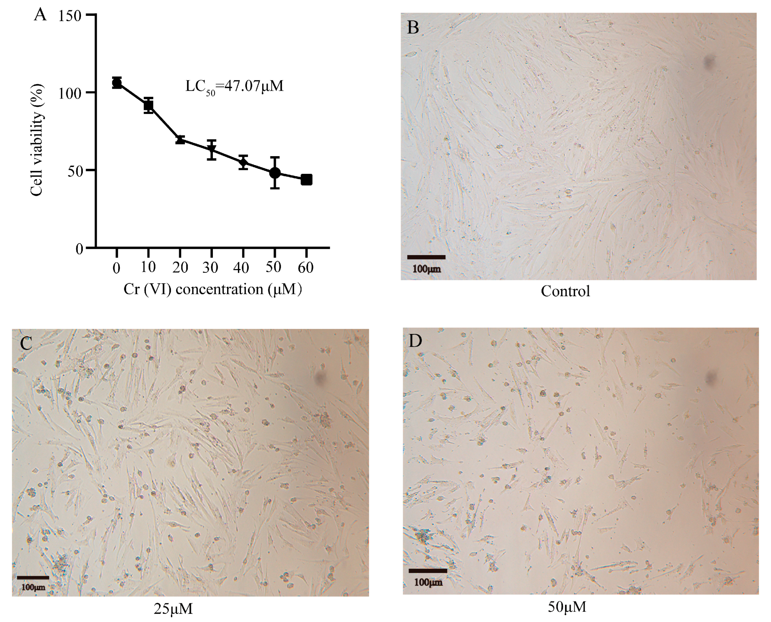 Animals 14 02403 g002