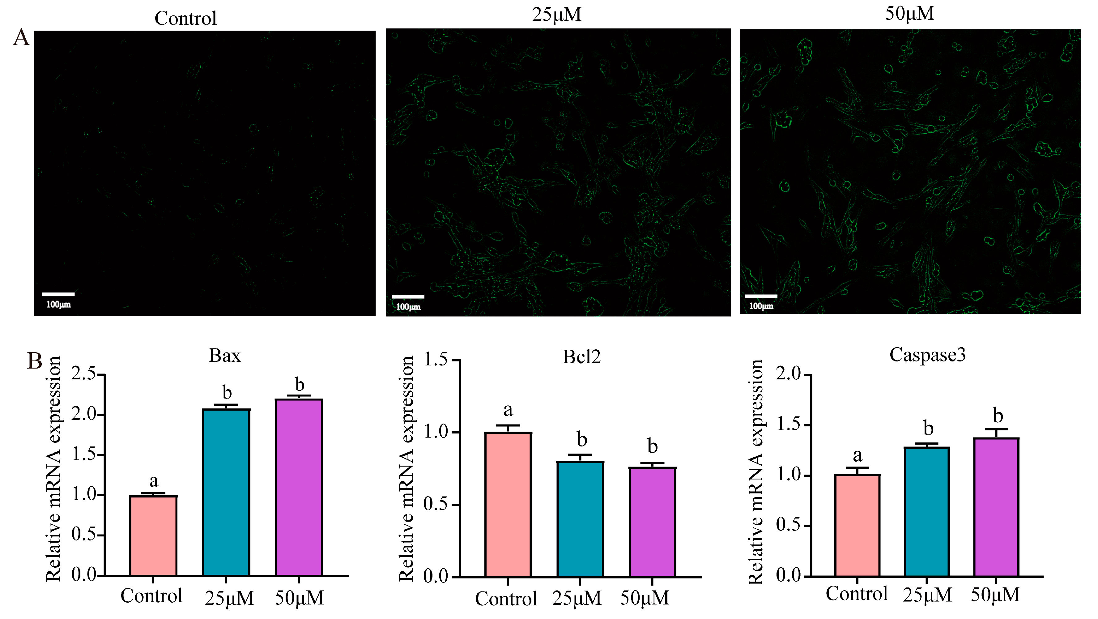 Animals 14 02403 g006