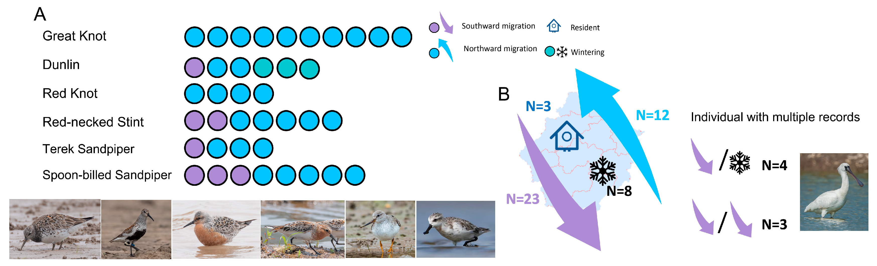 Animals 14 02404 g004