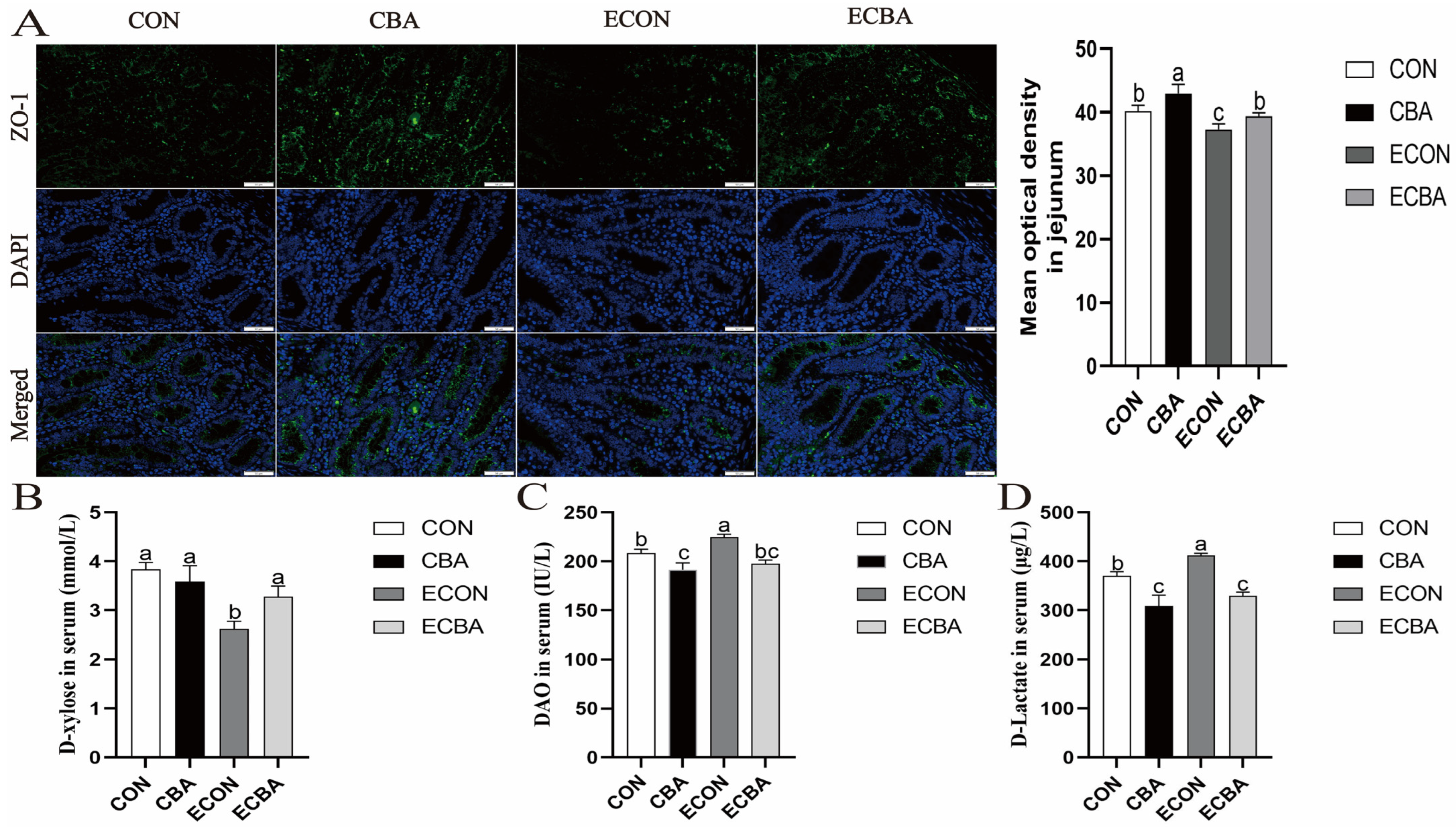 Animals 14 02405 g001