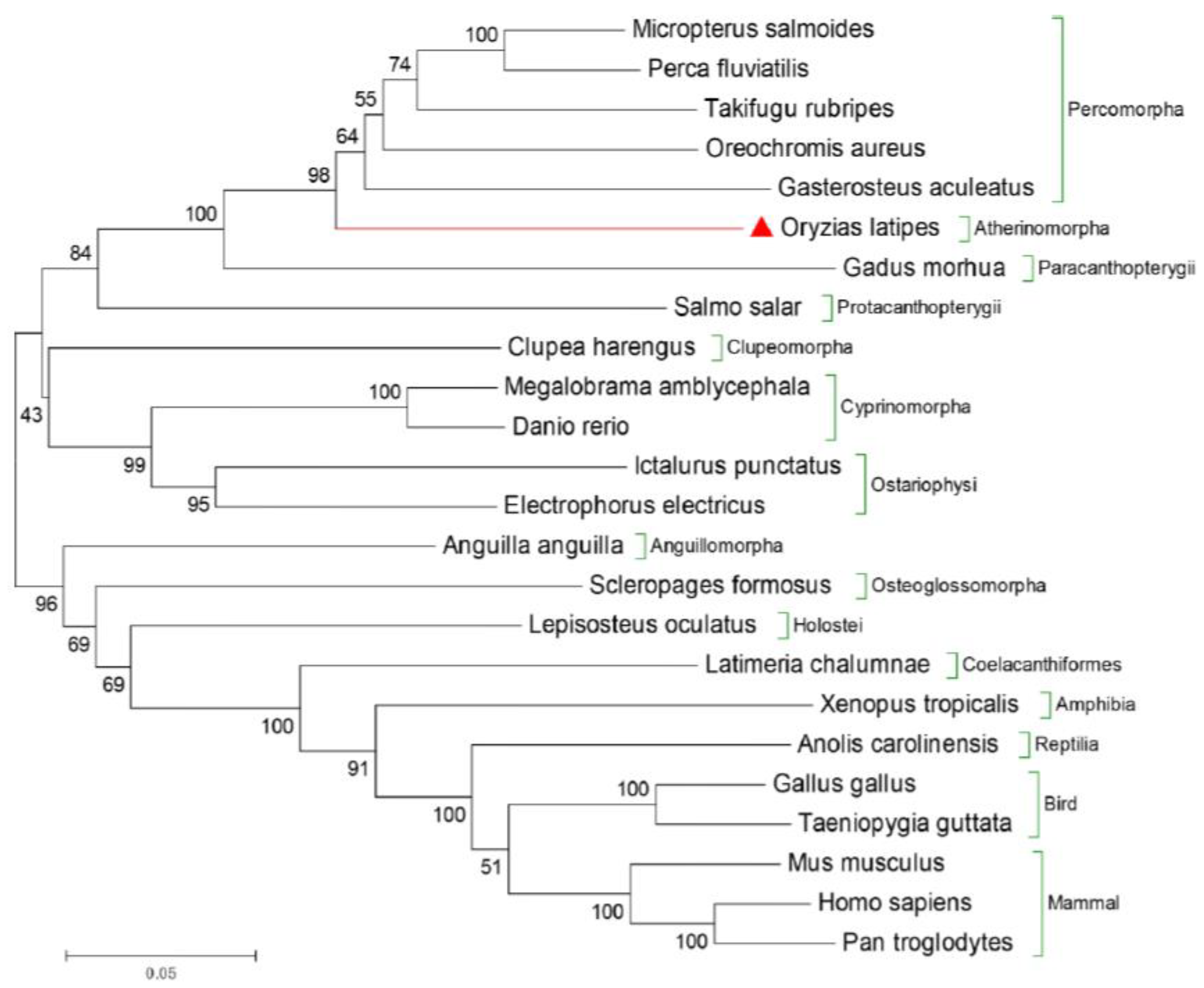Animals 14 02406 g001
