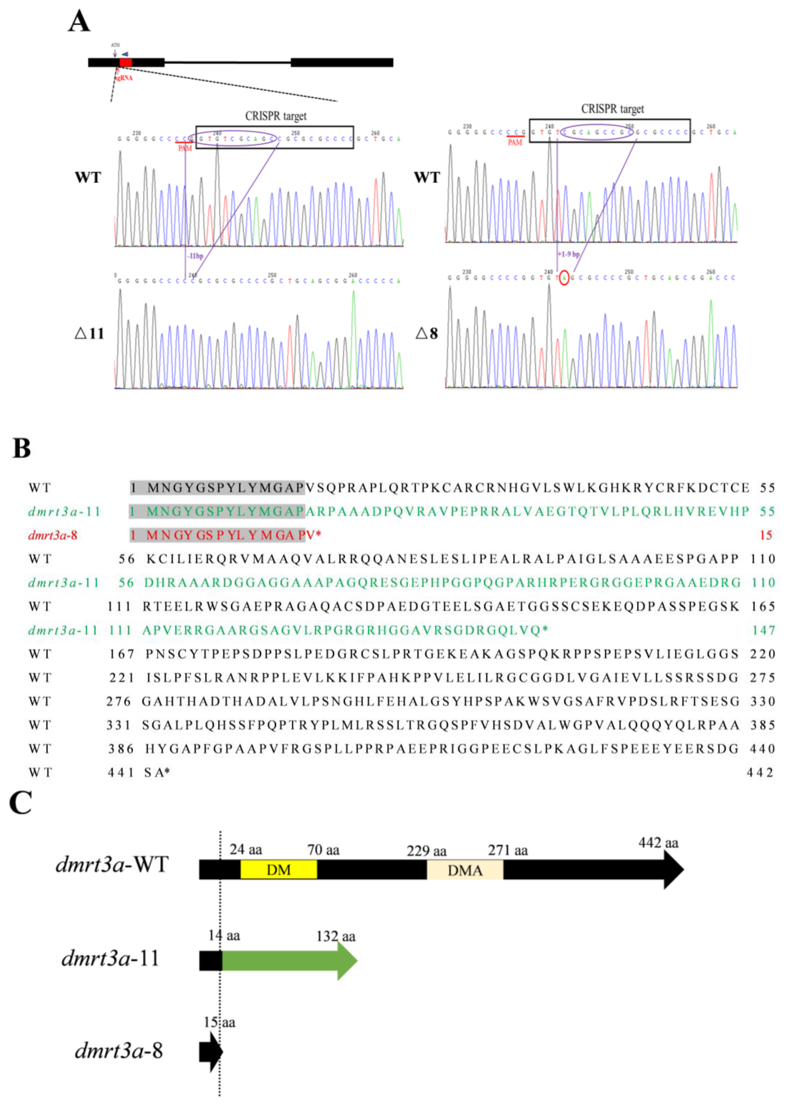 Animals 14 02406 g003