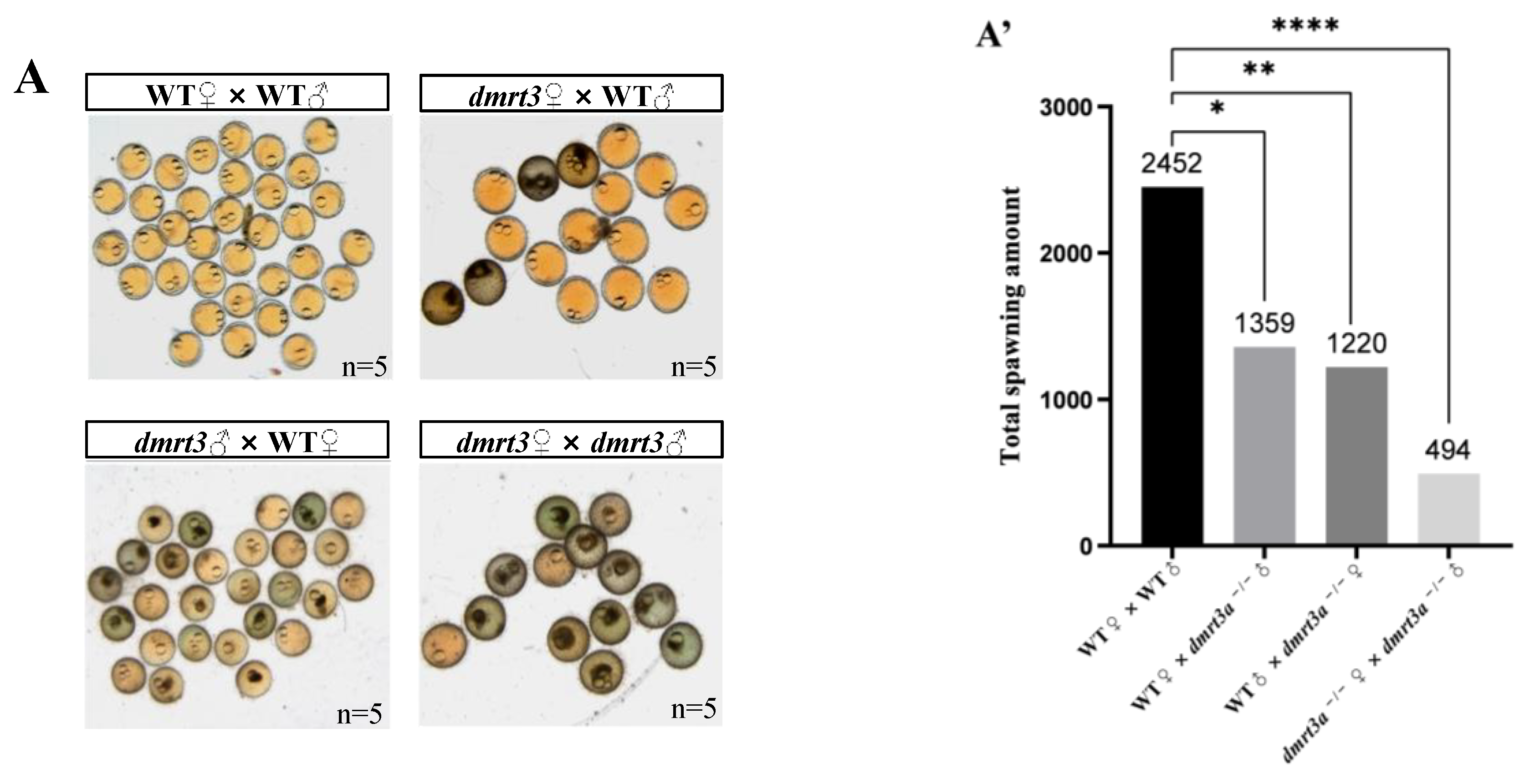 Animals 14 02406 g004a
