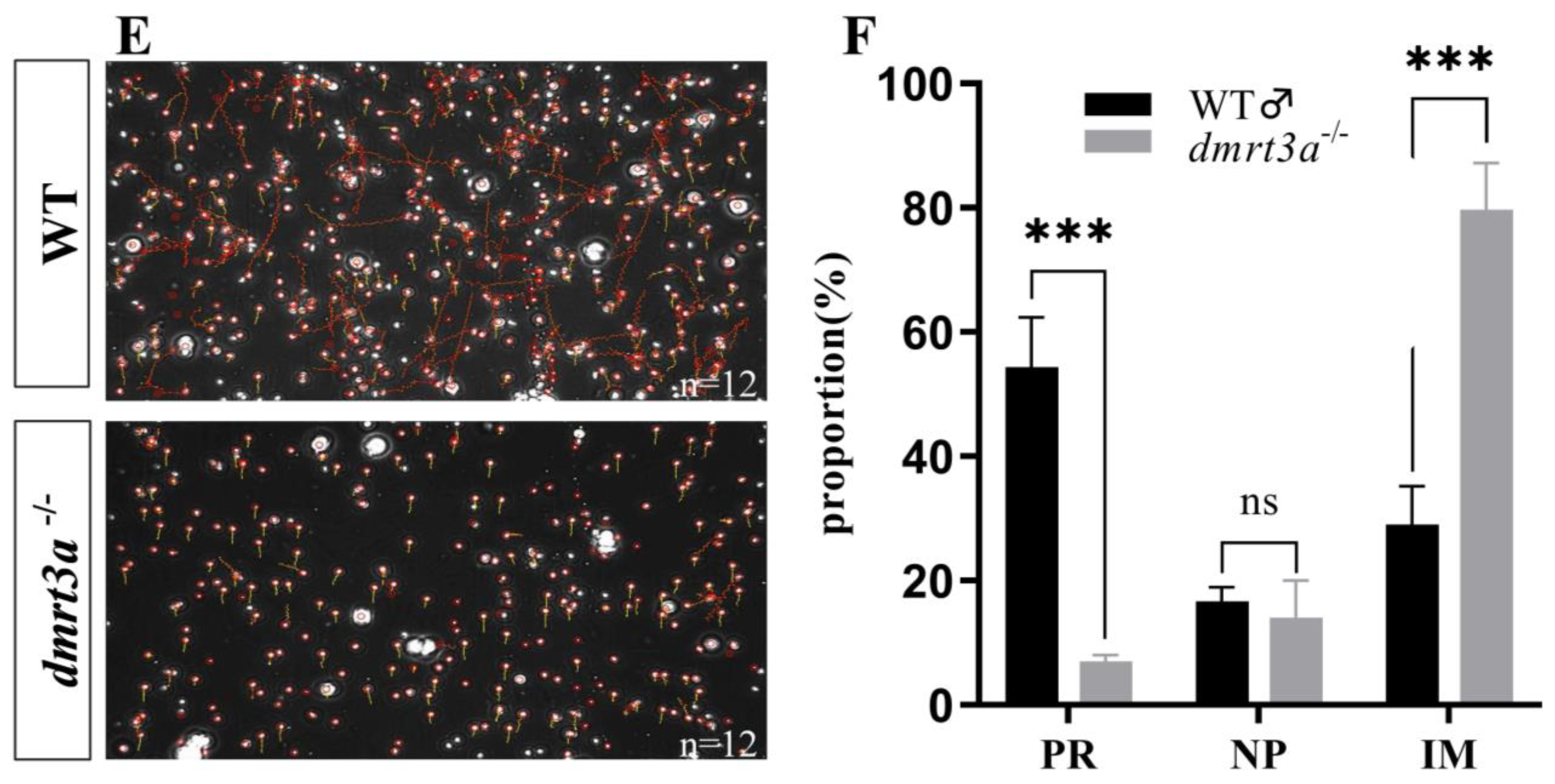 Animals 14 02406 g005b