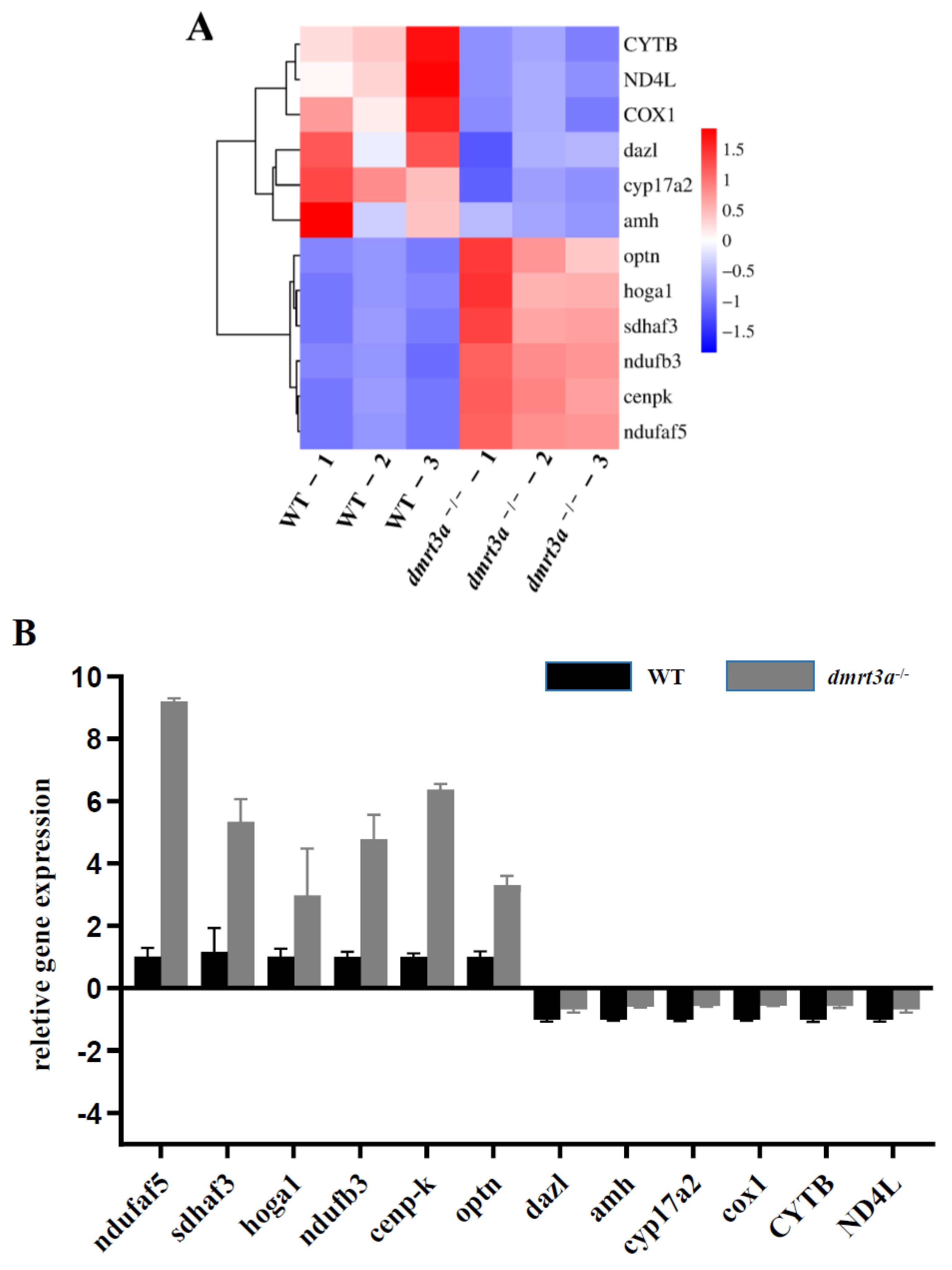 Animals 14 02406 g006