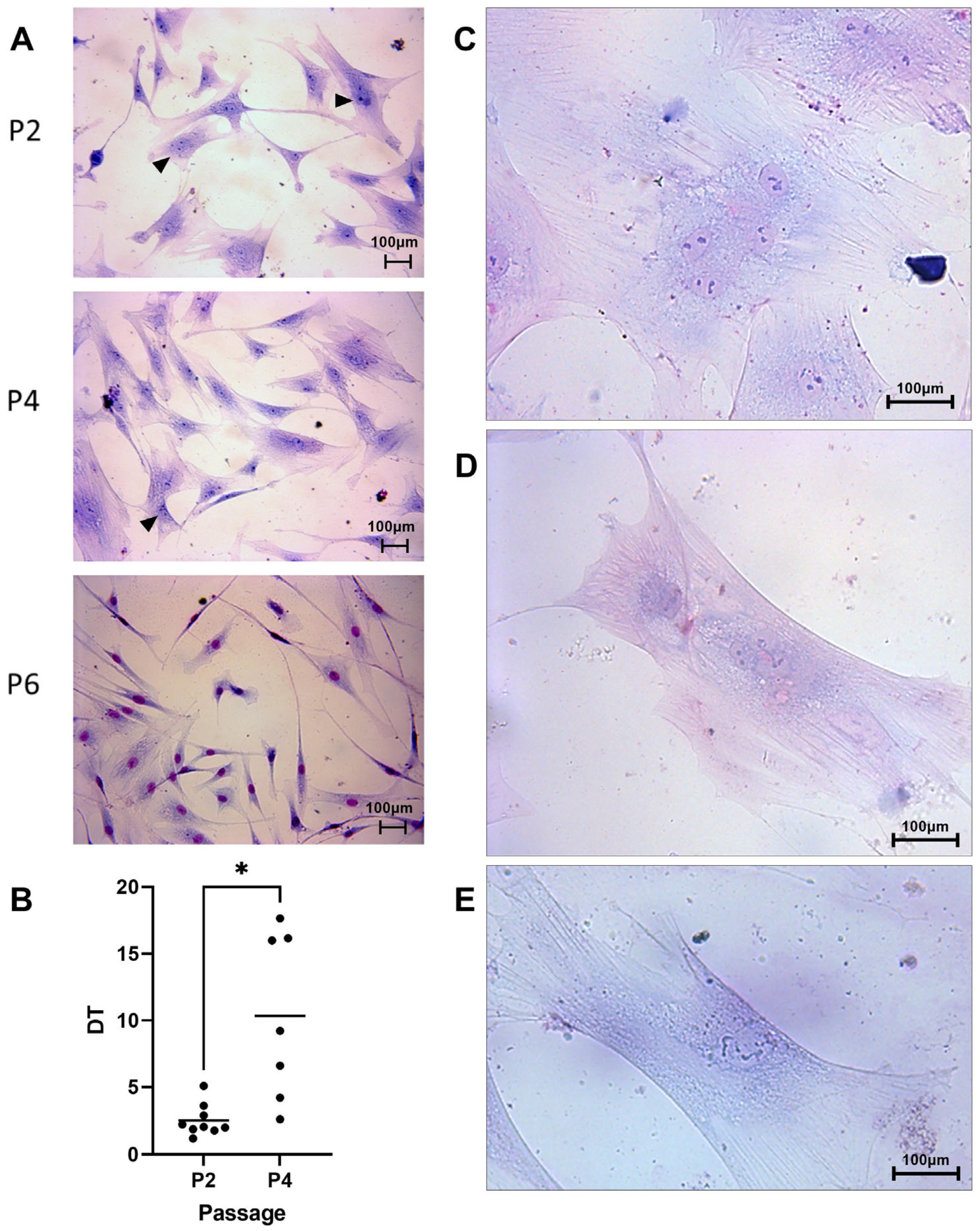 Animals 14 02408 g001