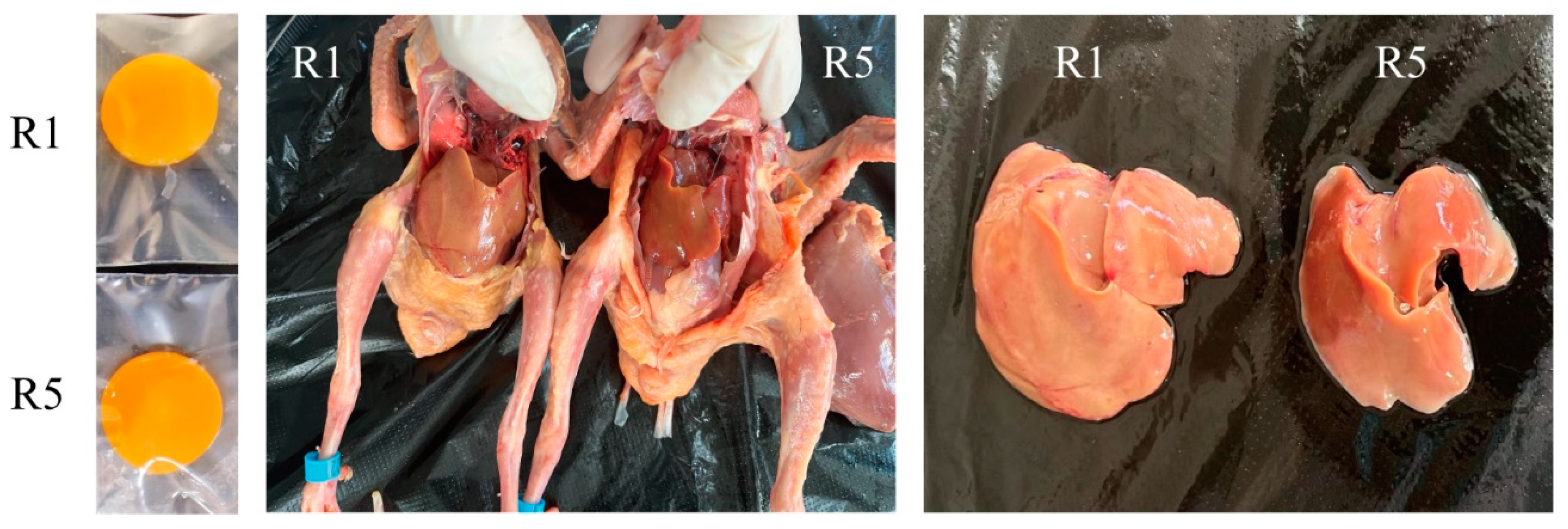 Animals 14 02414 g001