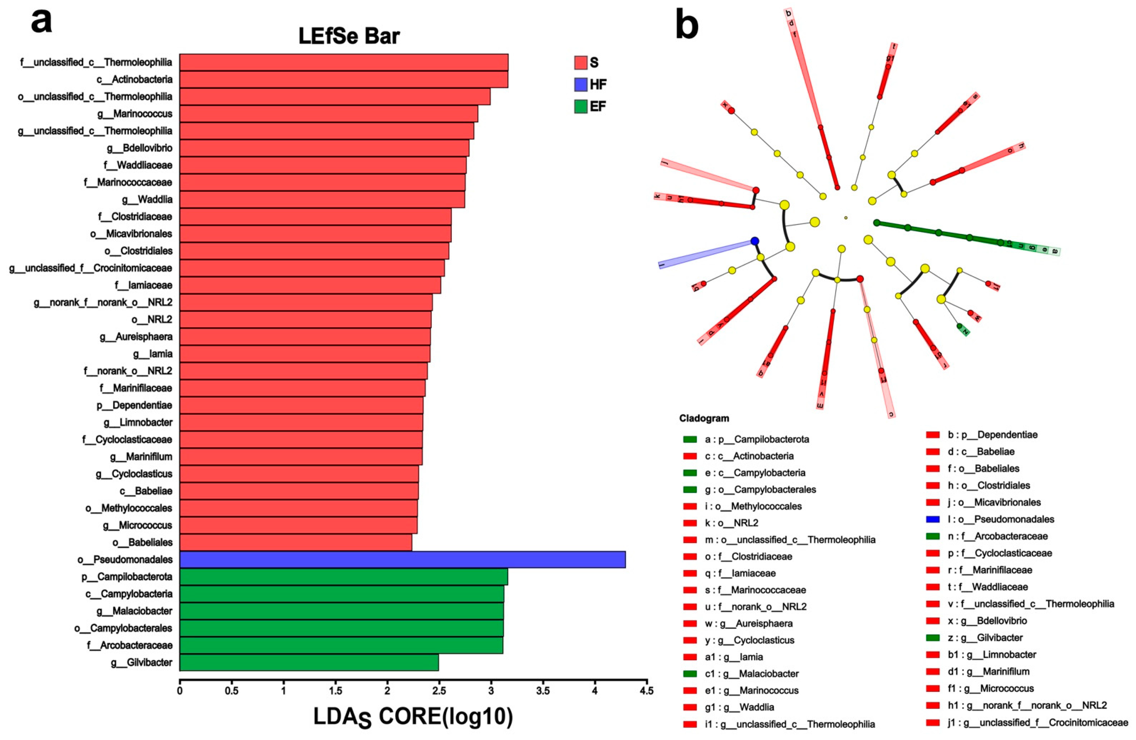 Animals 14 02415 g003
