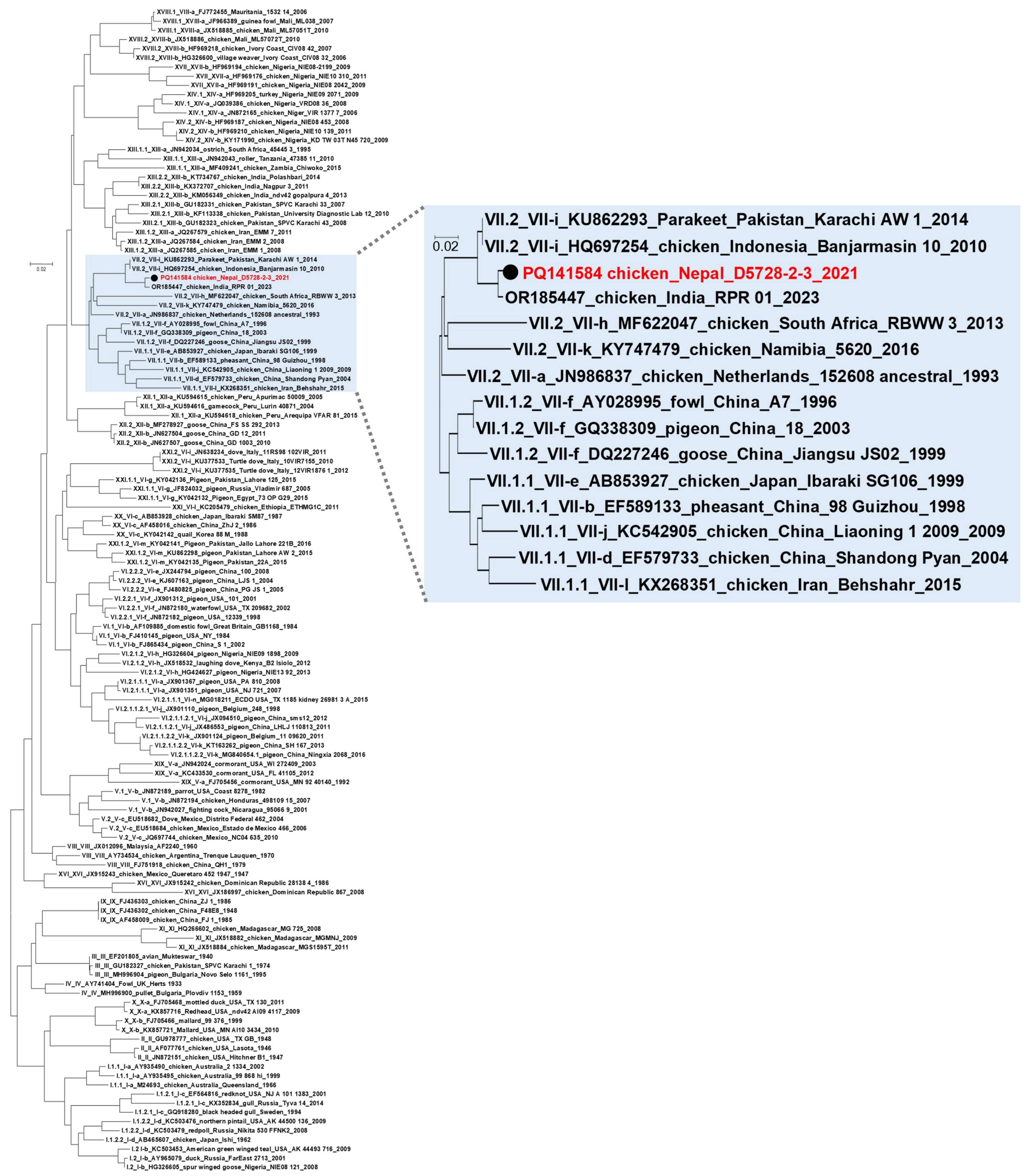 Animals 14 02423 g004