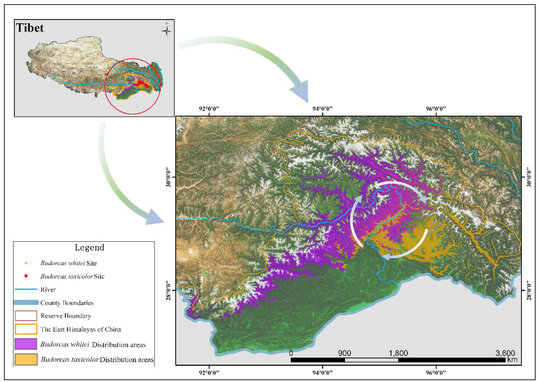 Animals 14 02426 g006