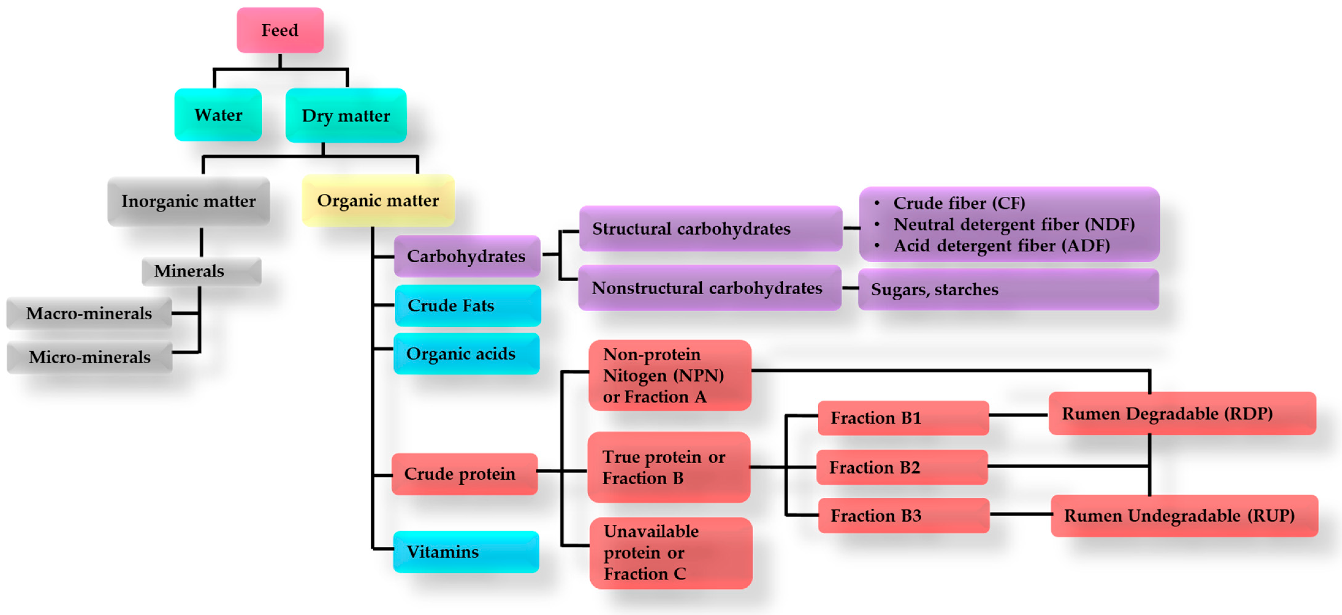 Animals 14 02427 g001 Animals 14 02427 g001