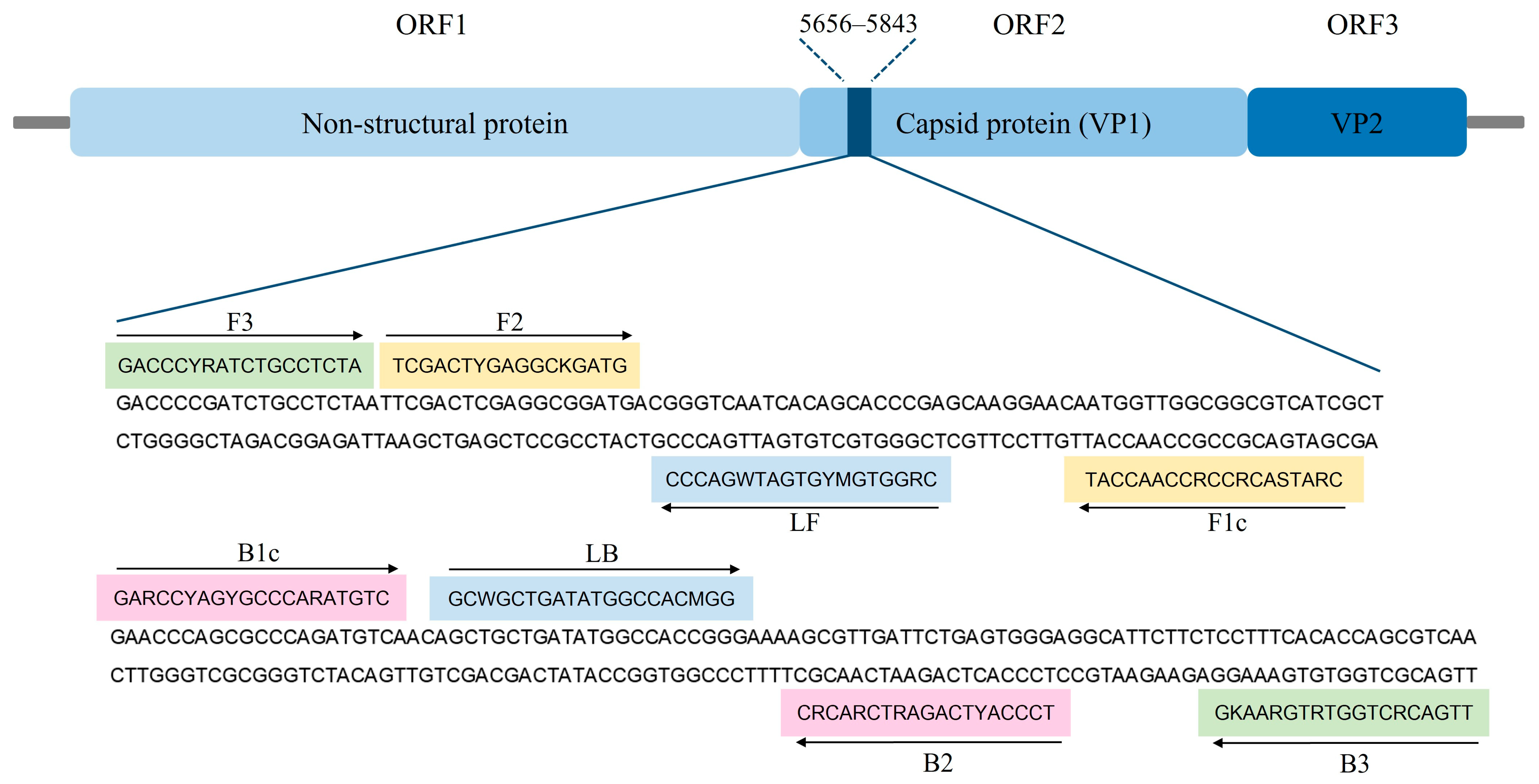 Animals 14 02432 g001 Animals 14 02432 g001