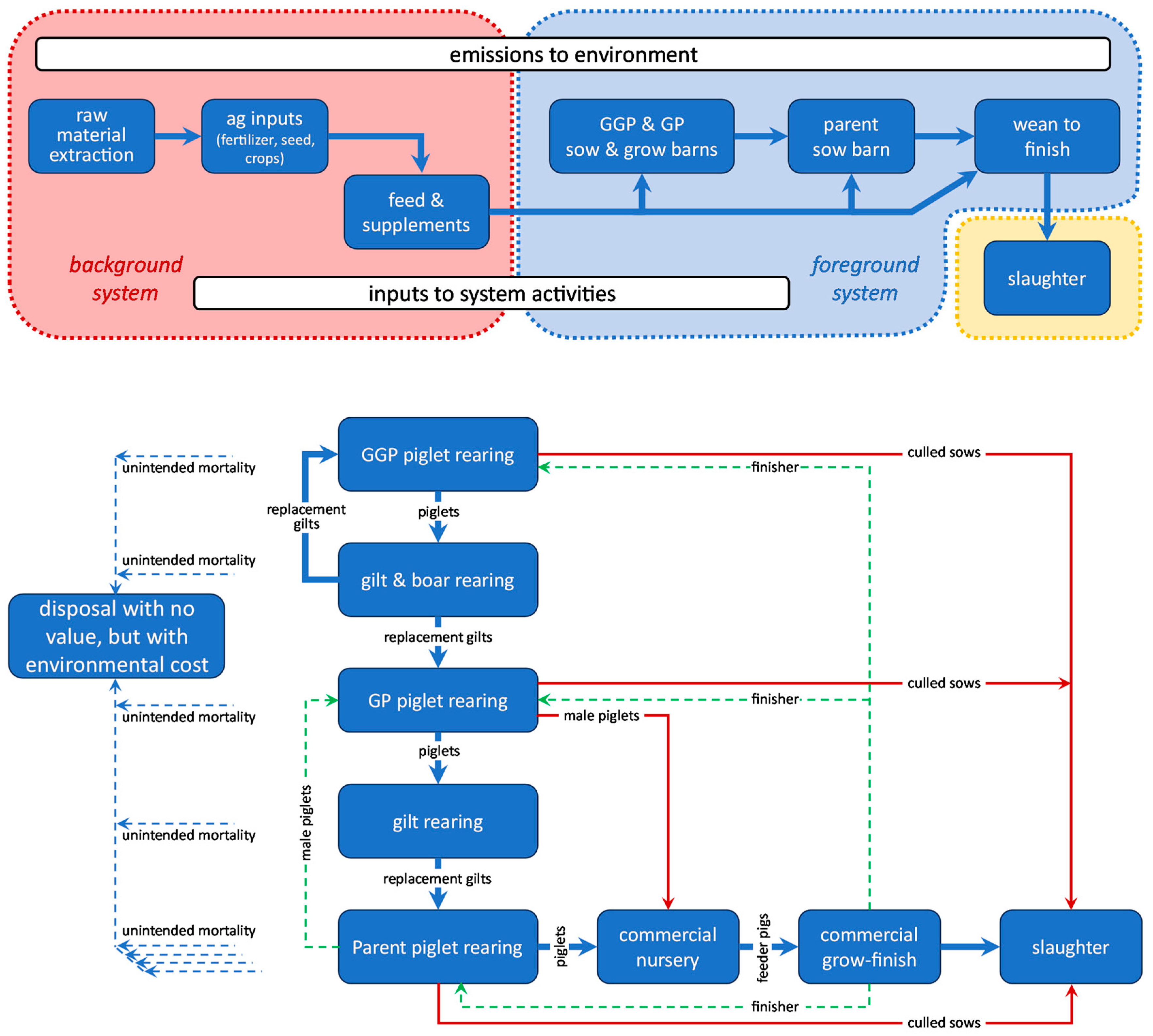 Animals 14 02435 g001