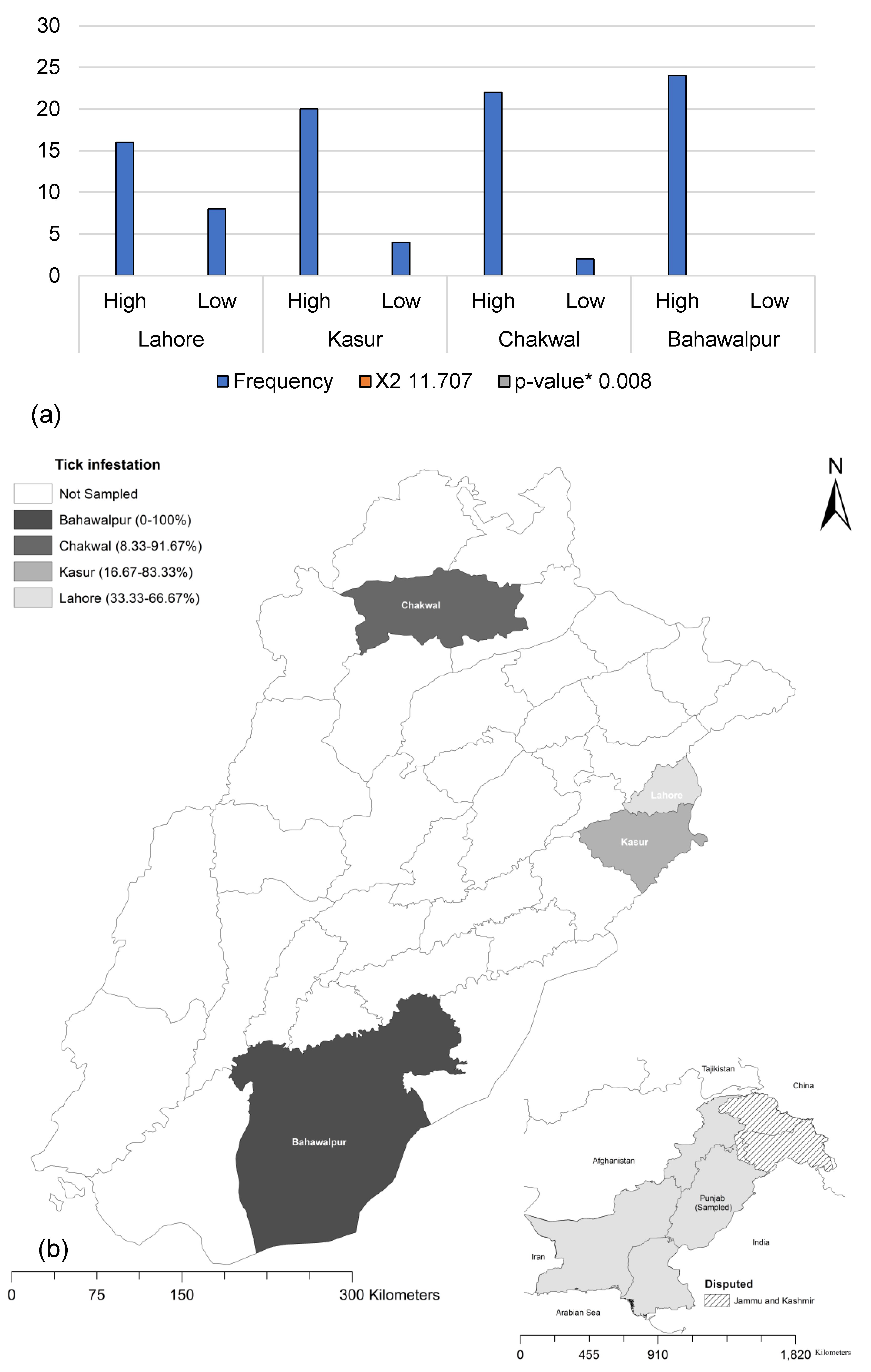 Animals 14 02437 g002