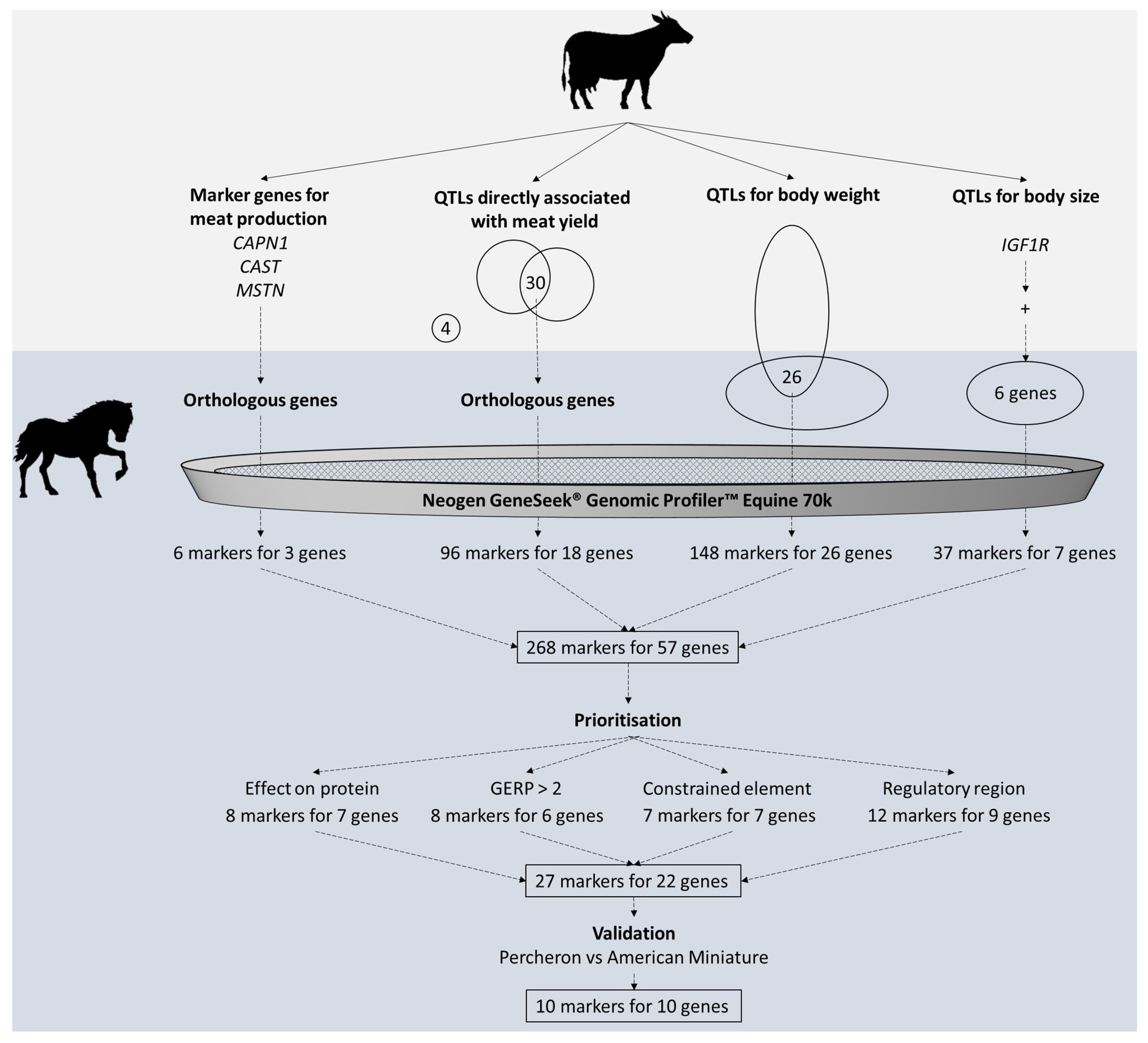 Animals 14 02441 g003 Animals 14 02441 g003