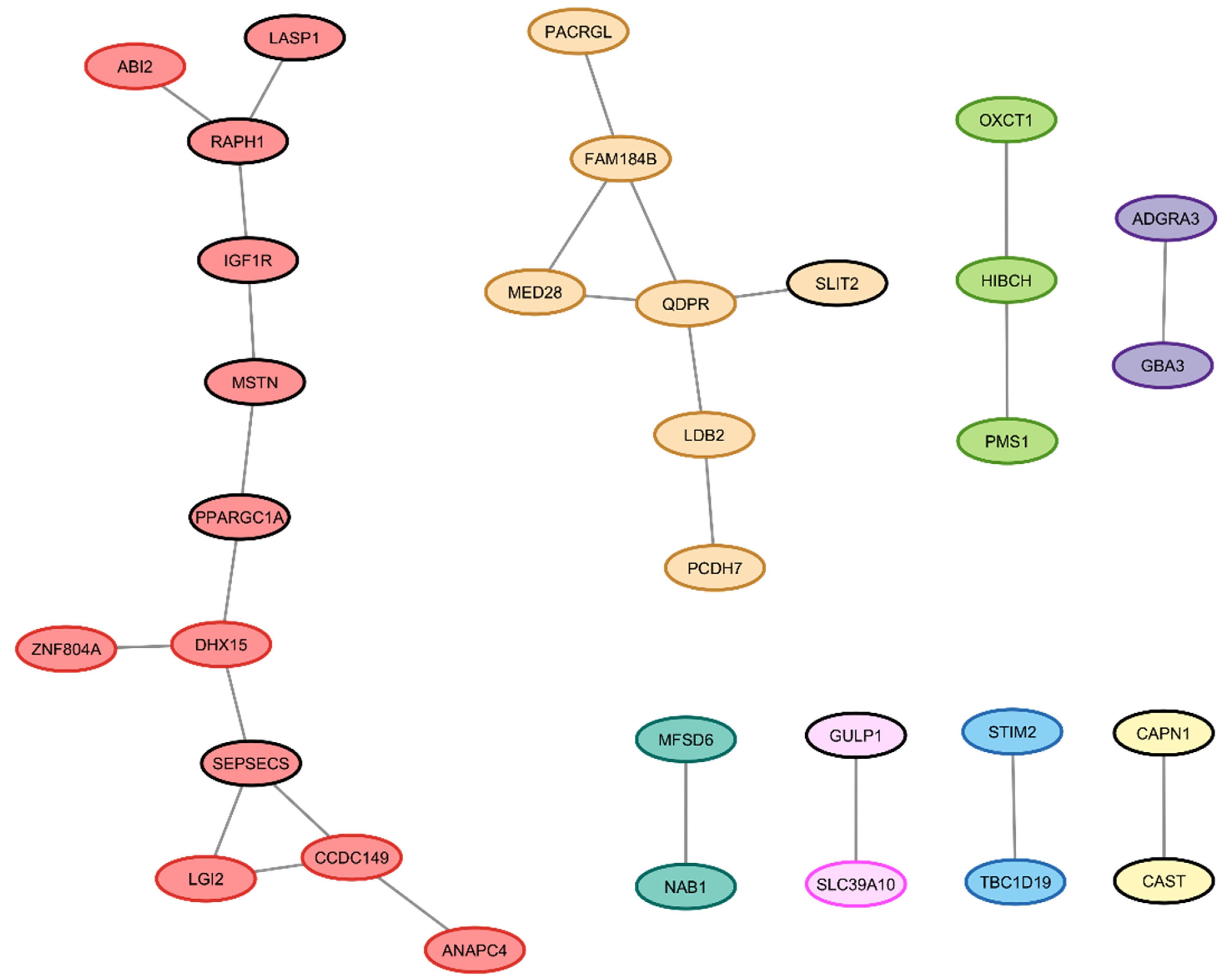 Animals 14 02441 g005 Animals 14 02441 g005