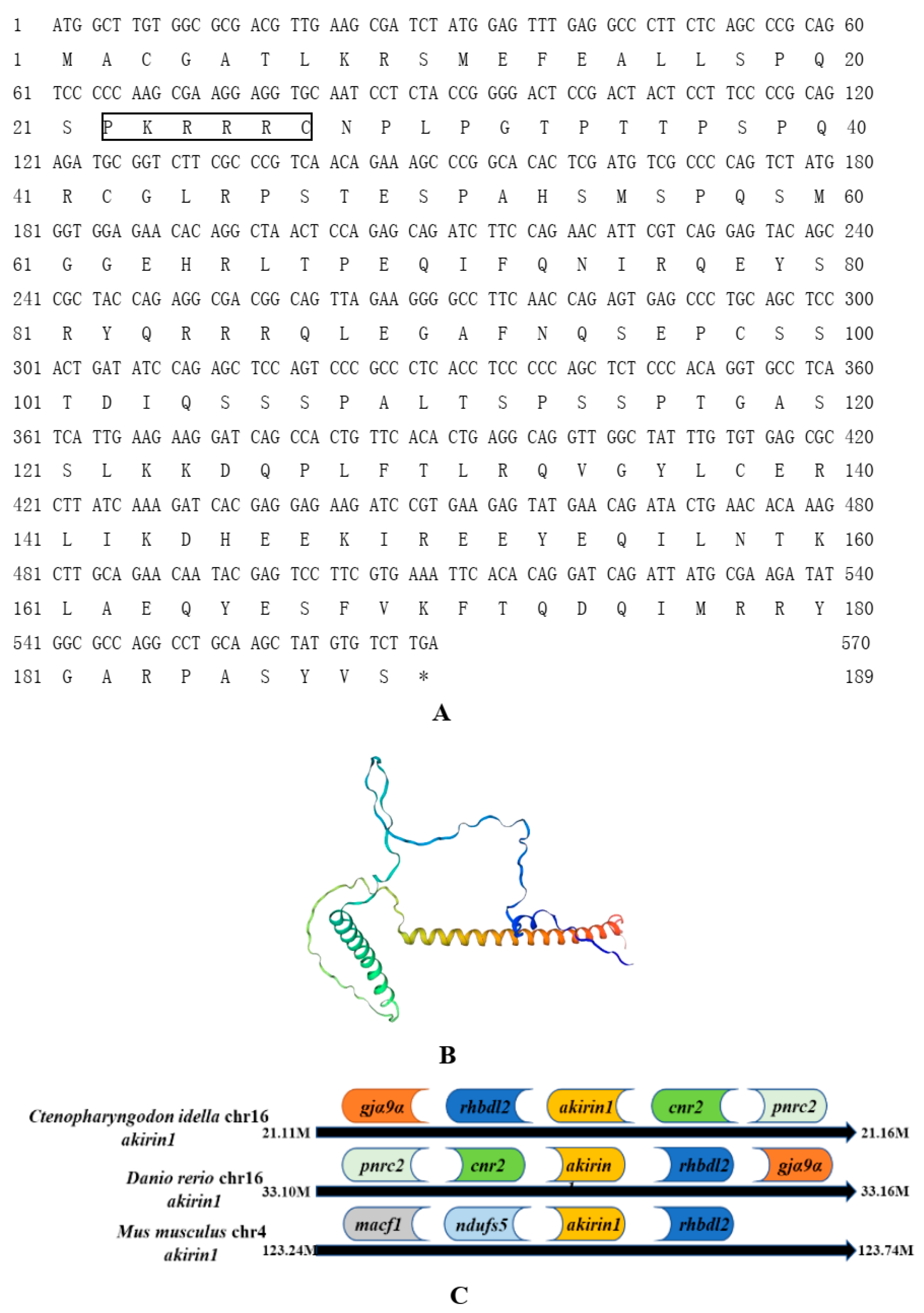 Animals 14 02443 g001