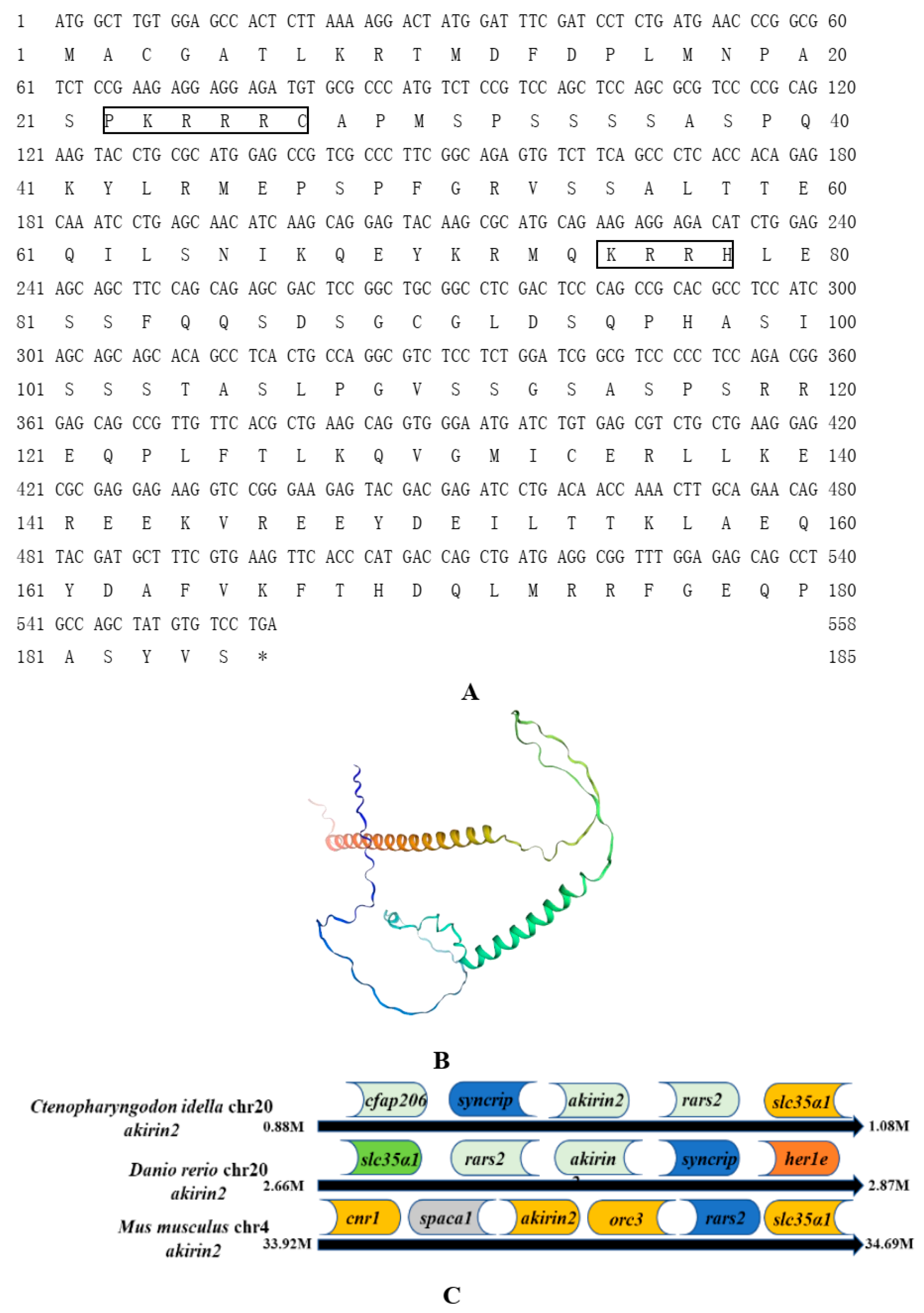 Animals 14 02443 g002