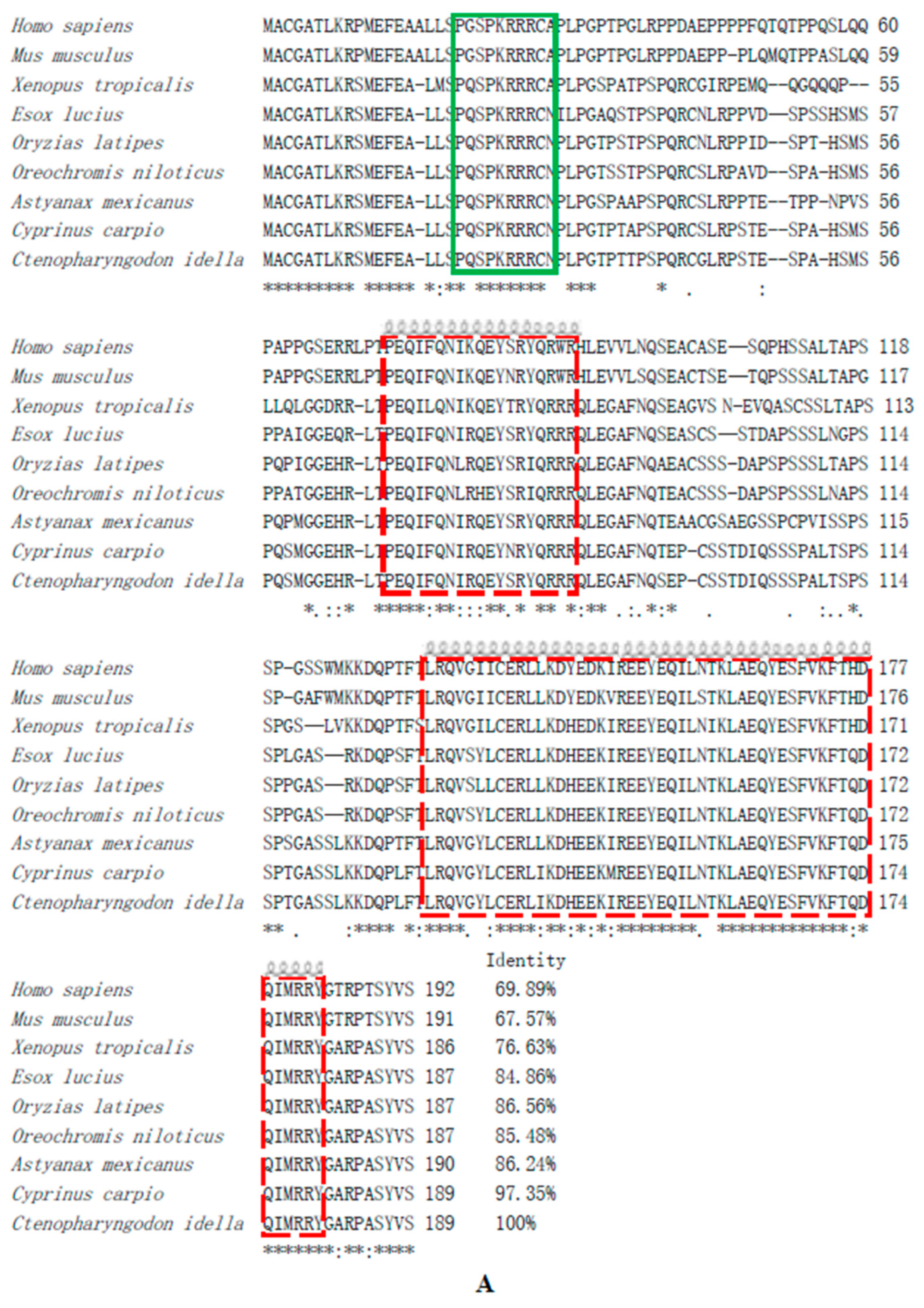 Animals 14 02443 g003a