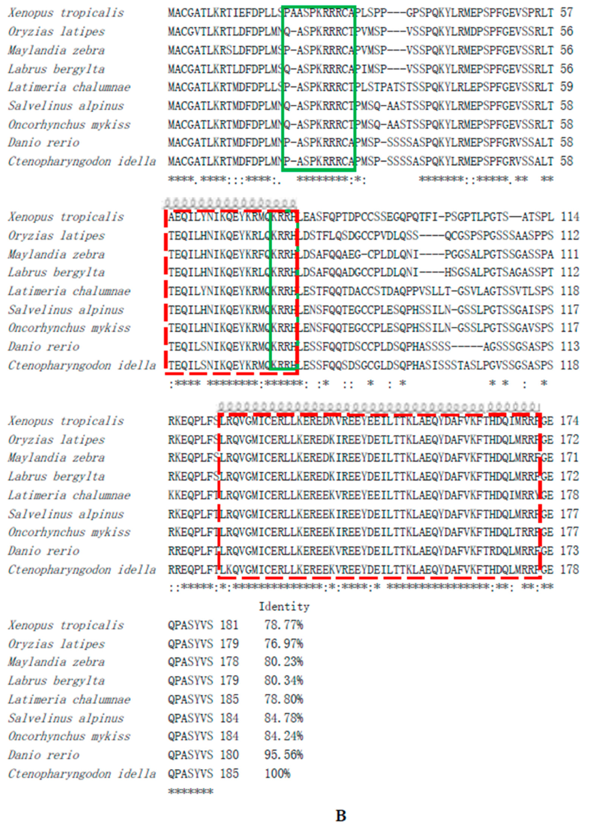 Animals 14 02443 g003b