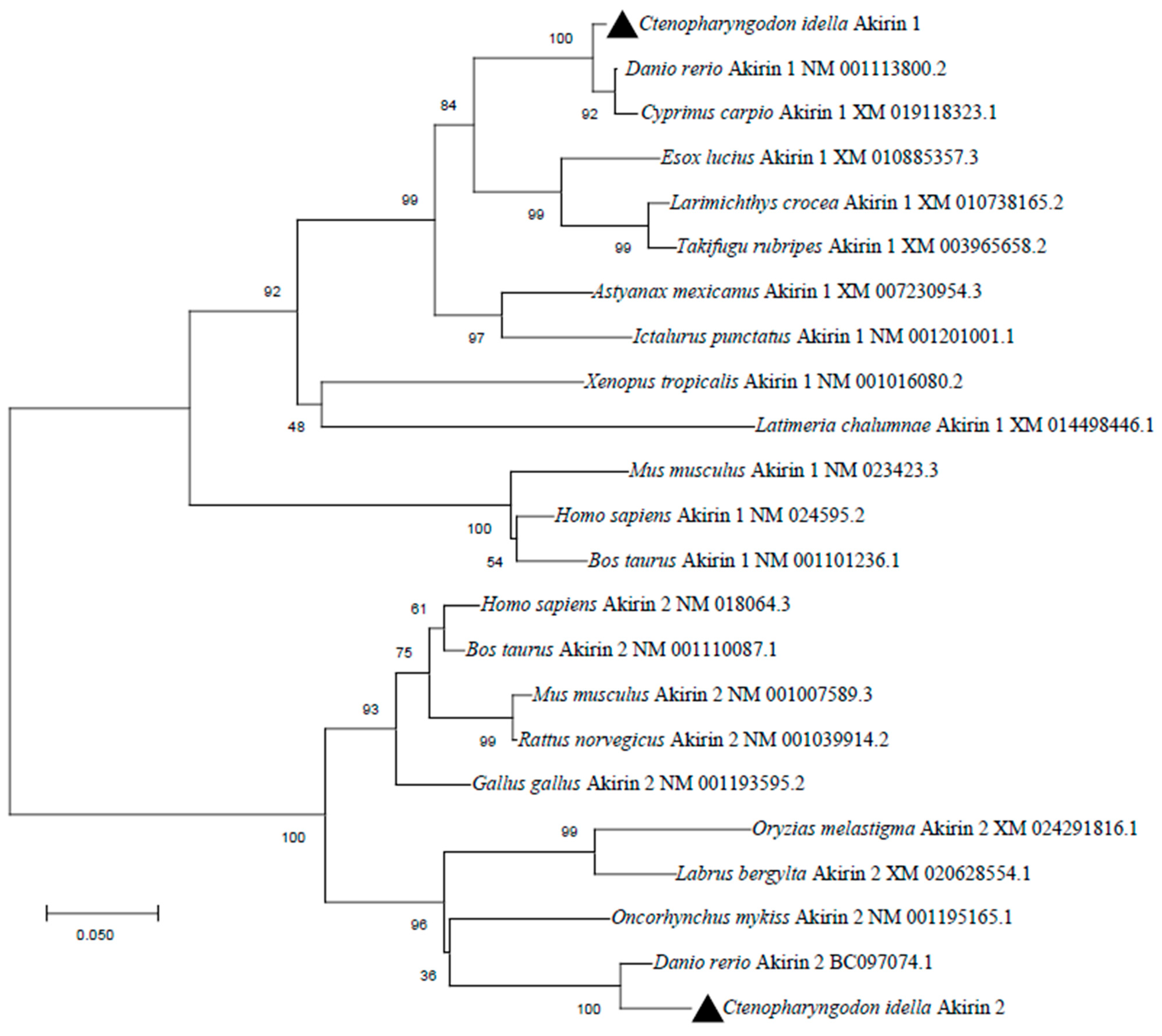 Animals 14 02443 g004