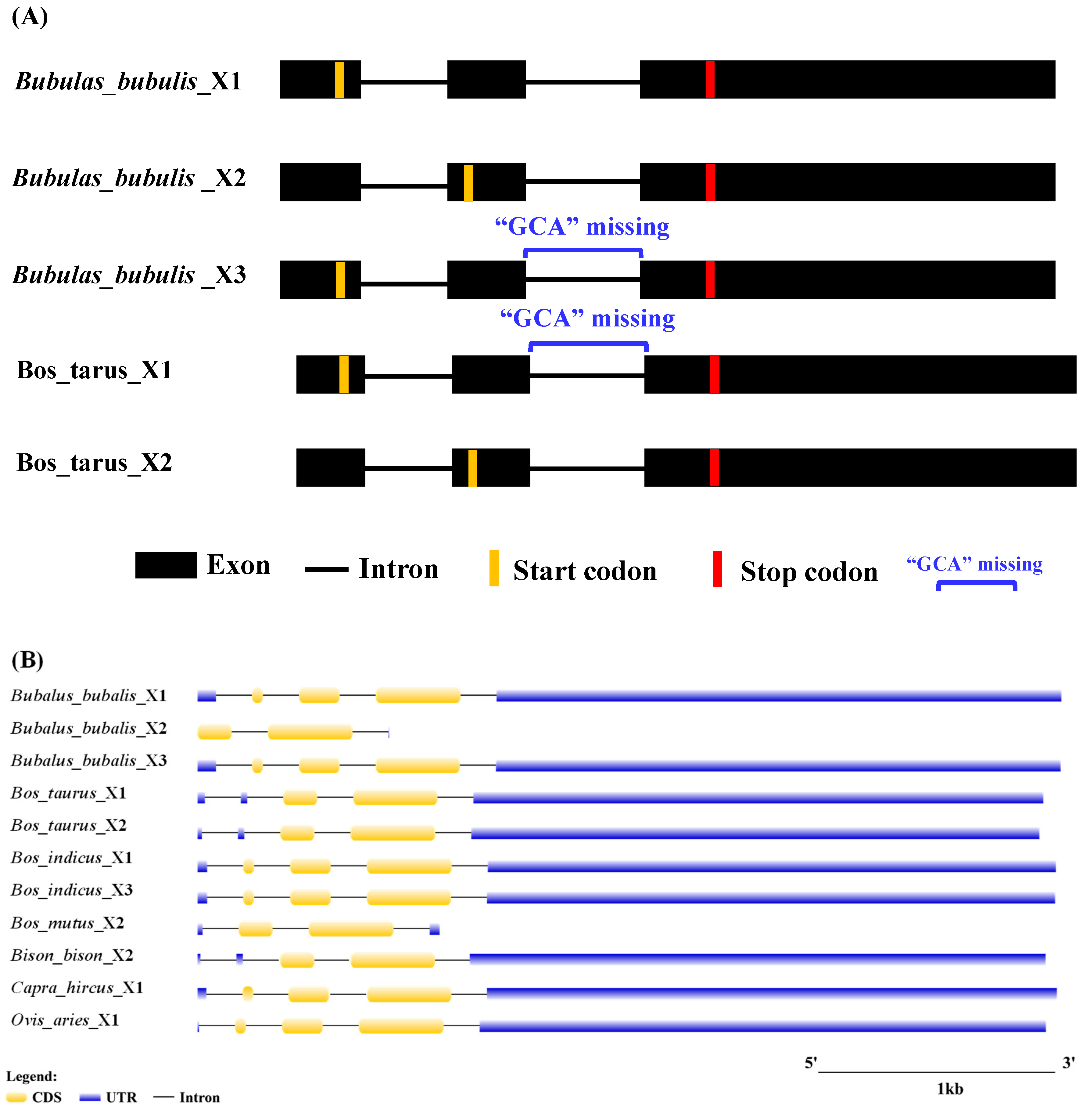 Animals 14 02446 g003