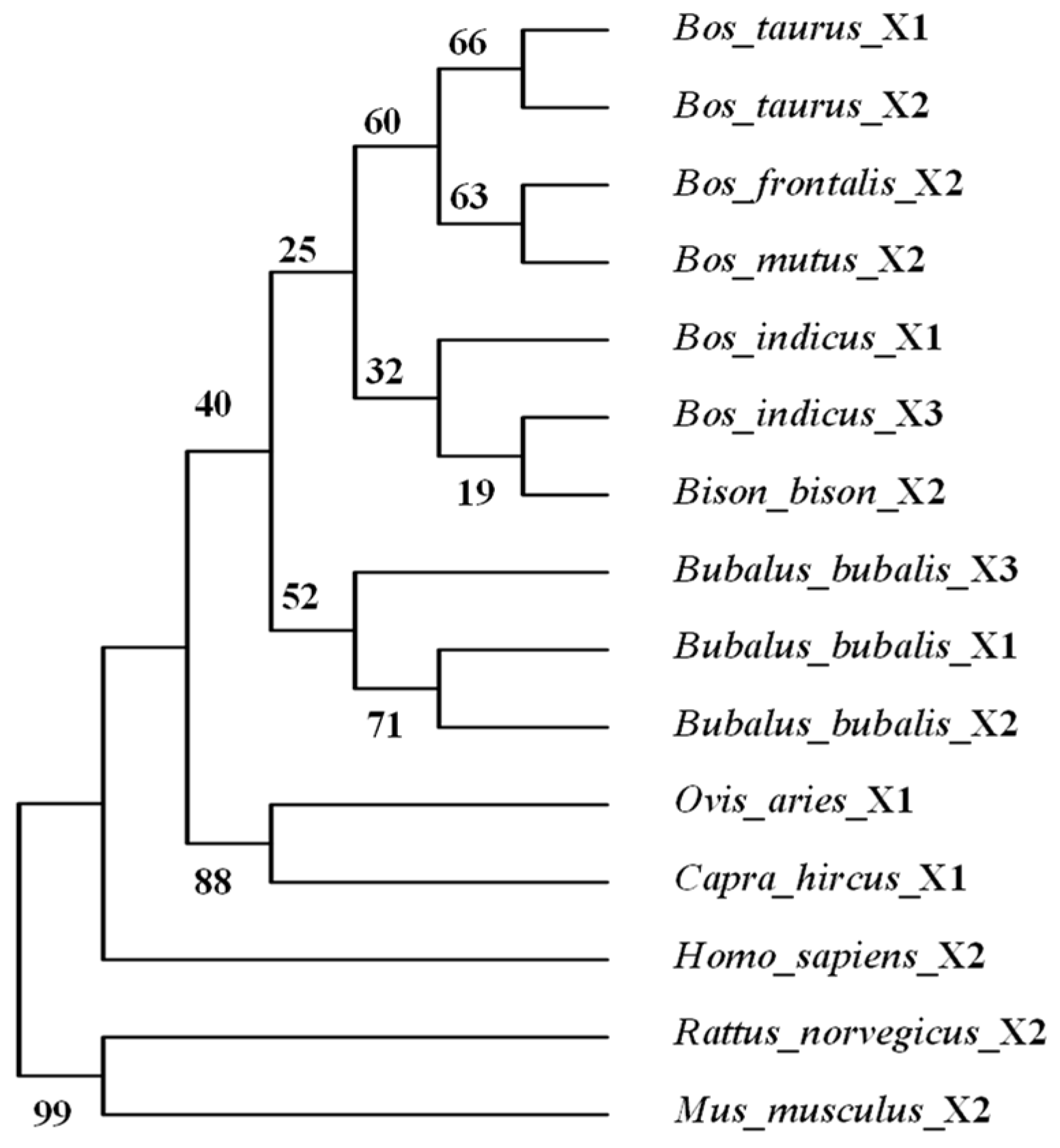 Animals 14 02446 g004