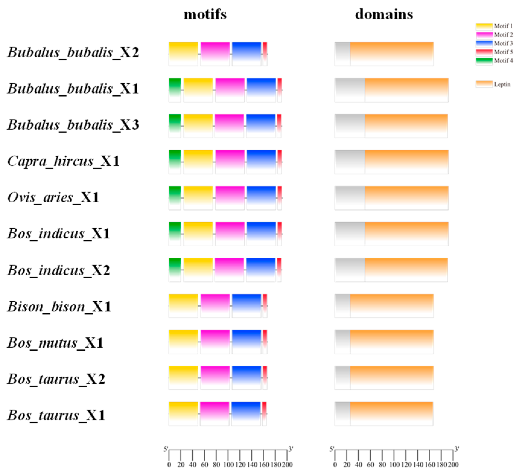 Animals 14 02446 g005