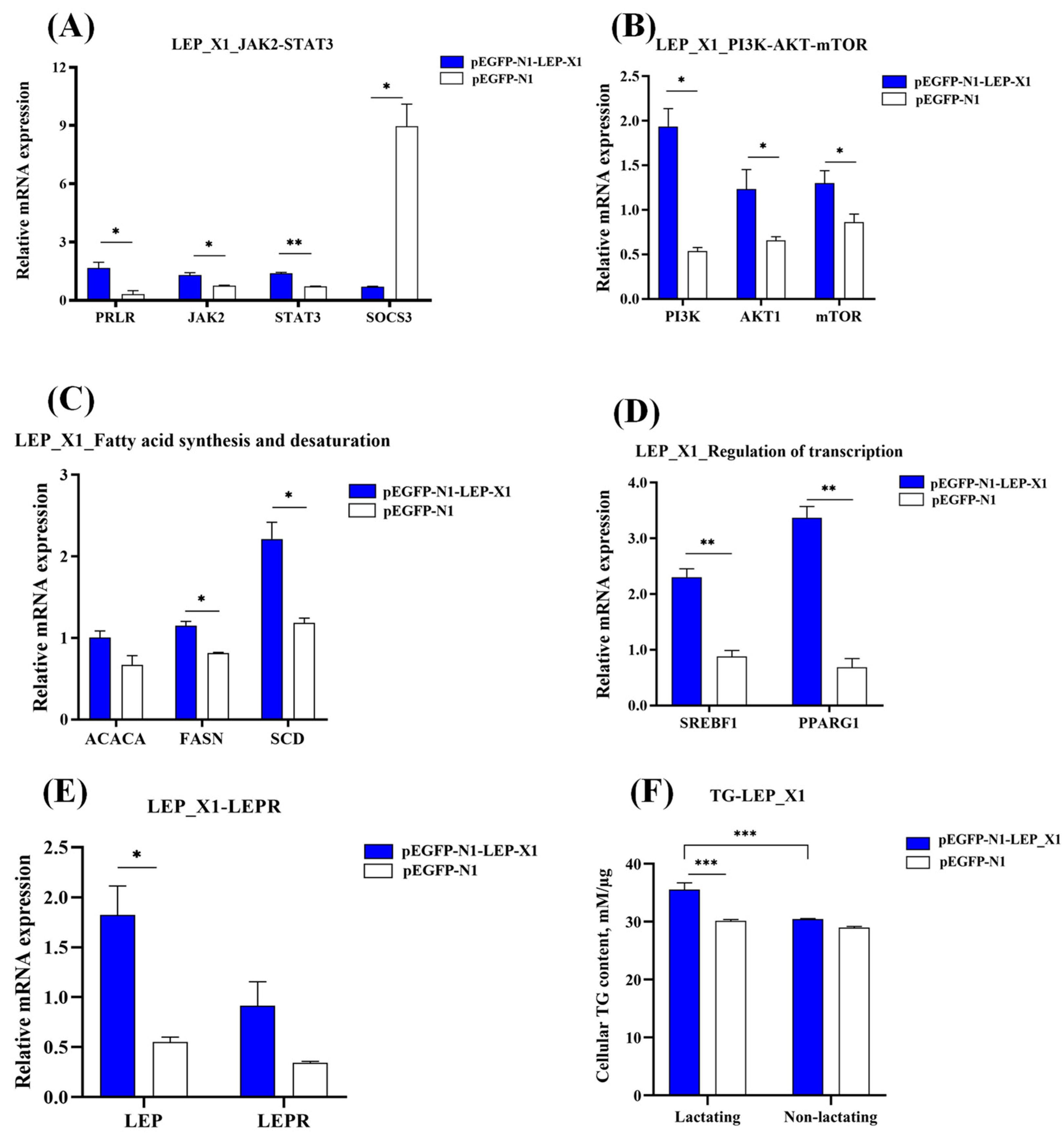 Animals 14 02446 g008