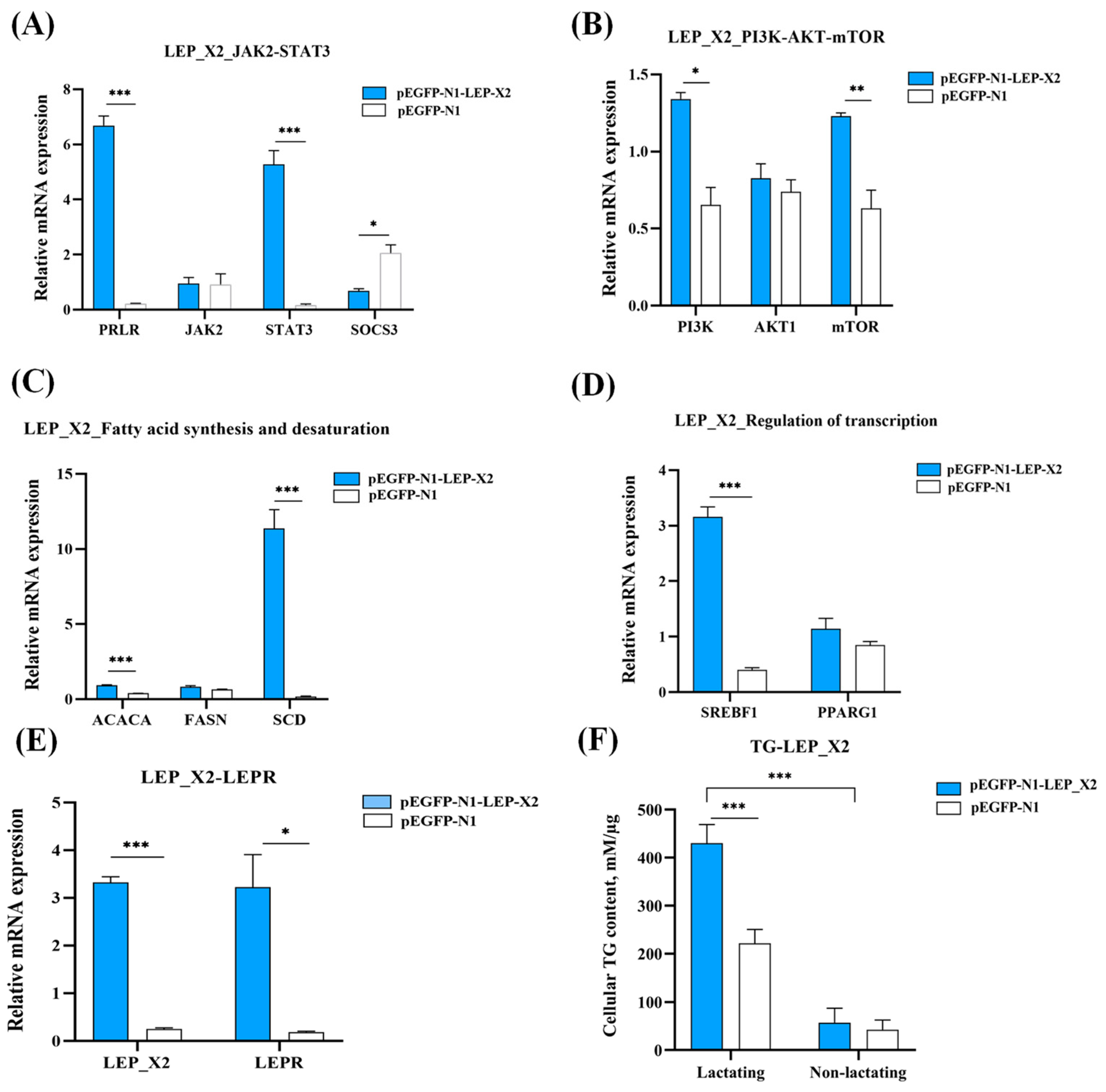 Animals 14 02446 g009