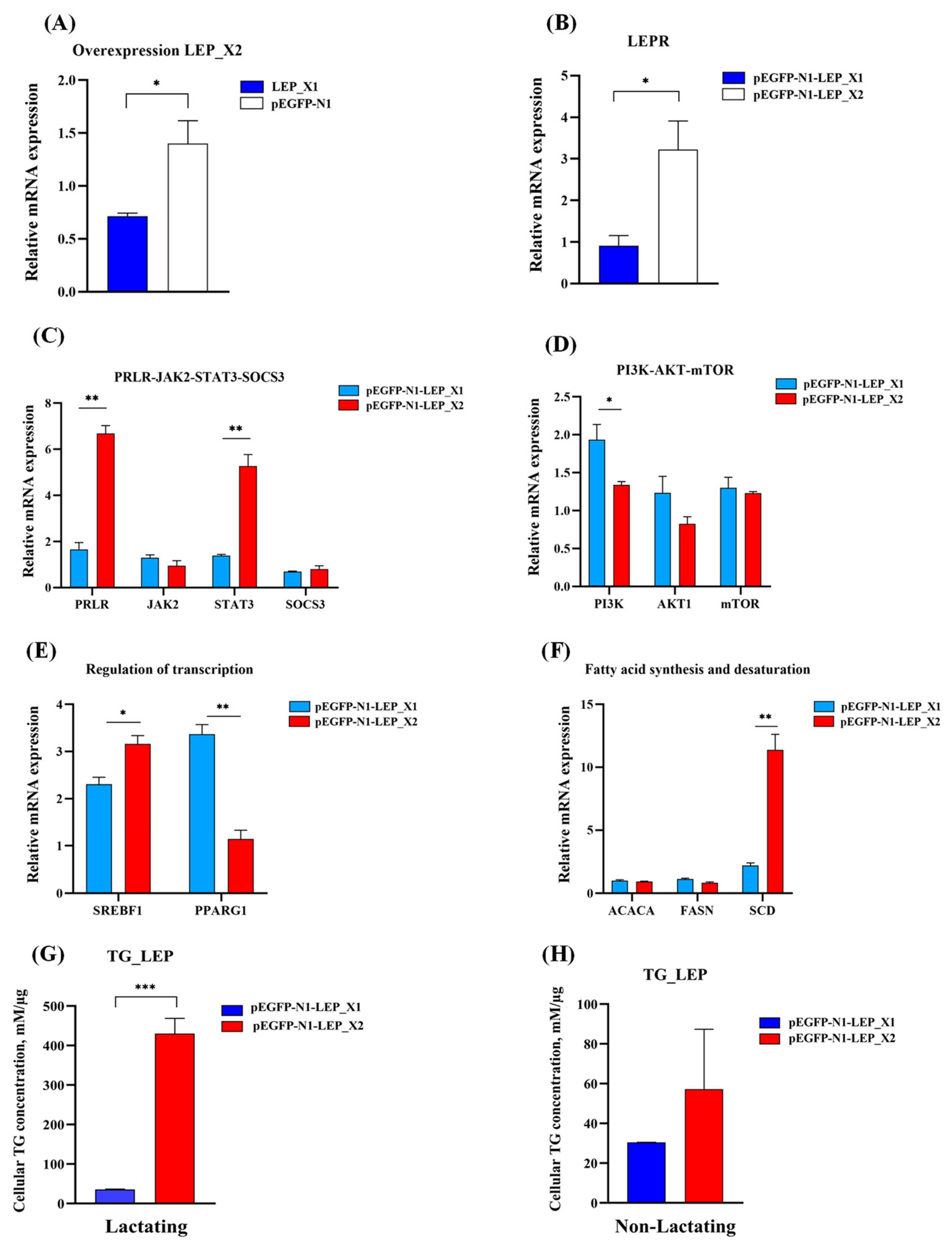 Animals 14 02446 g010