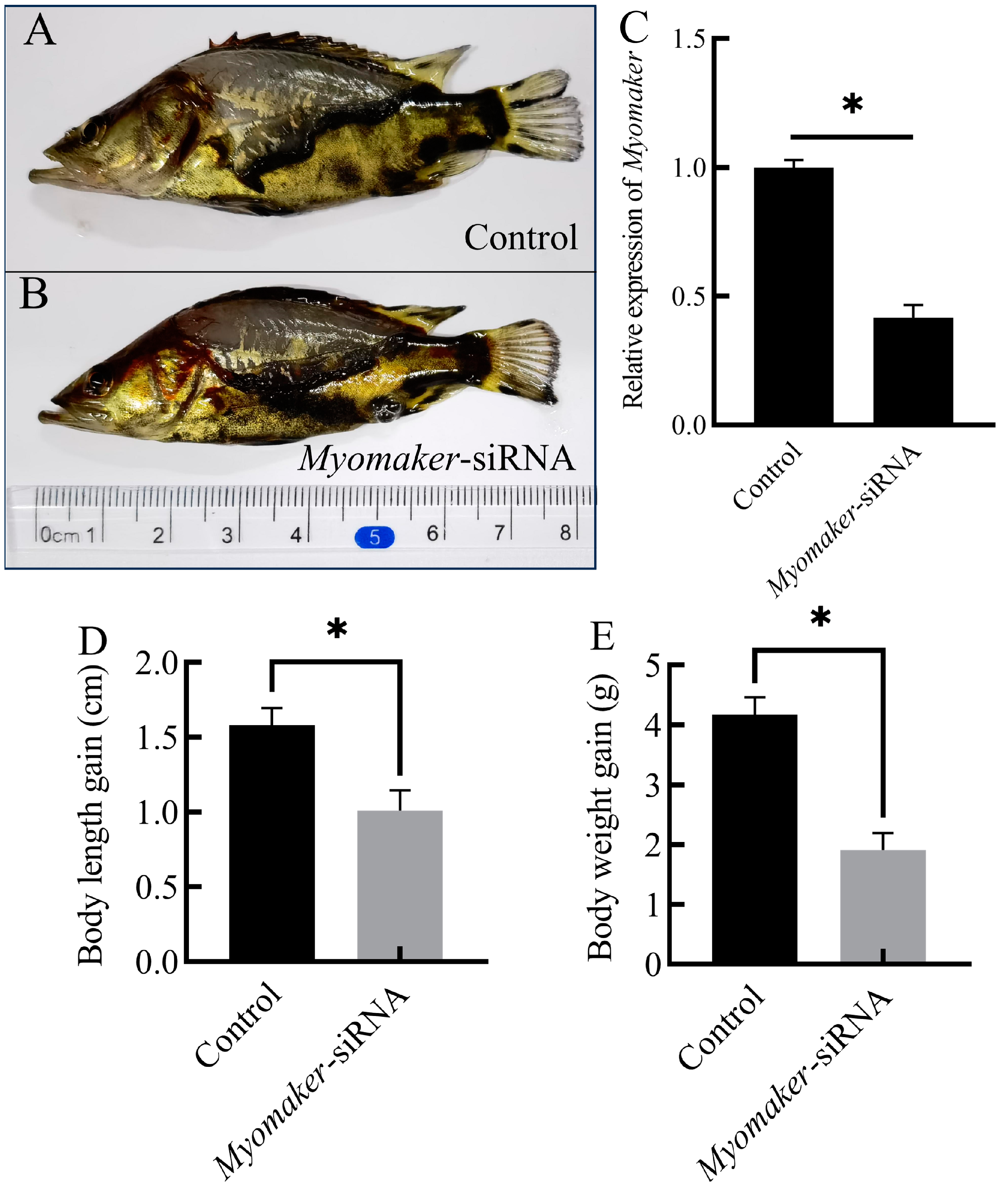 Animals 14 02448 g003
