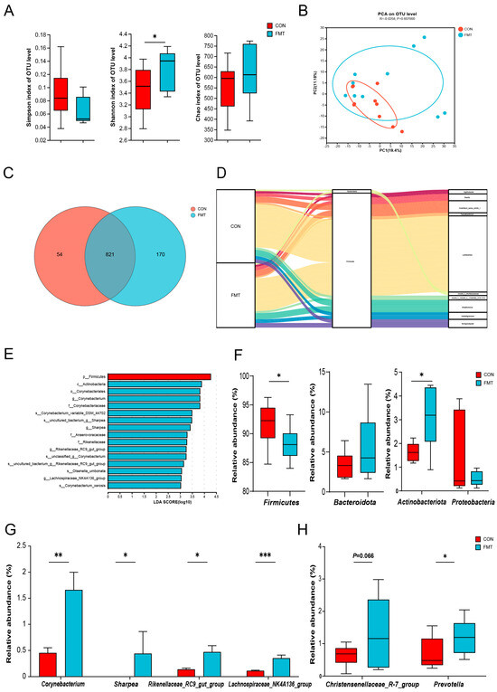 Ningxiang Pig-Derived Microbiota Affects the Growth Performance