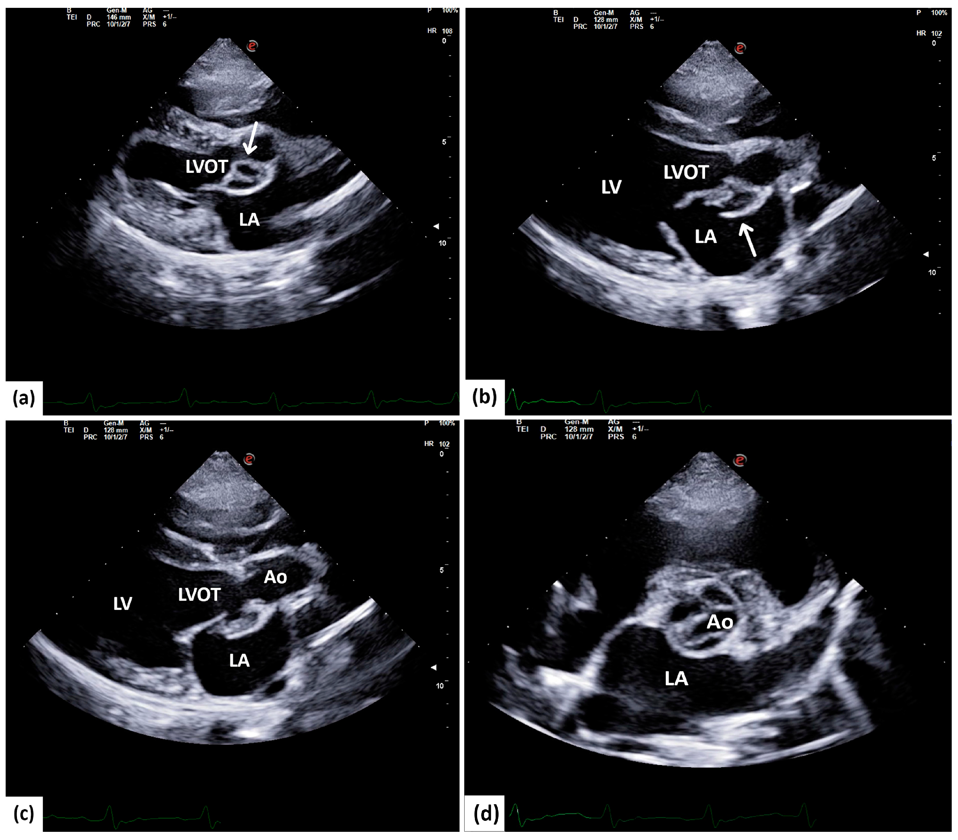 Animals 14 02451 g001