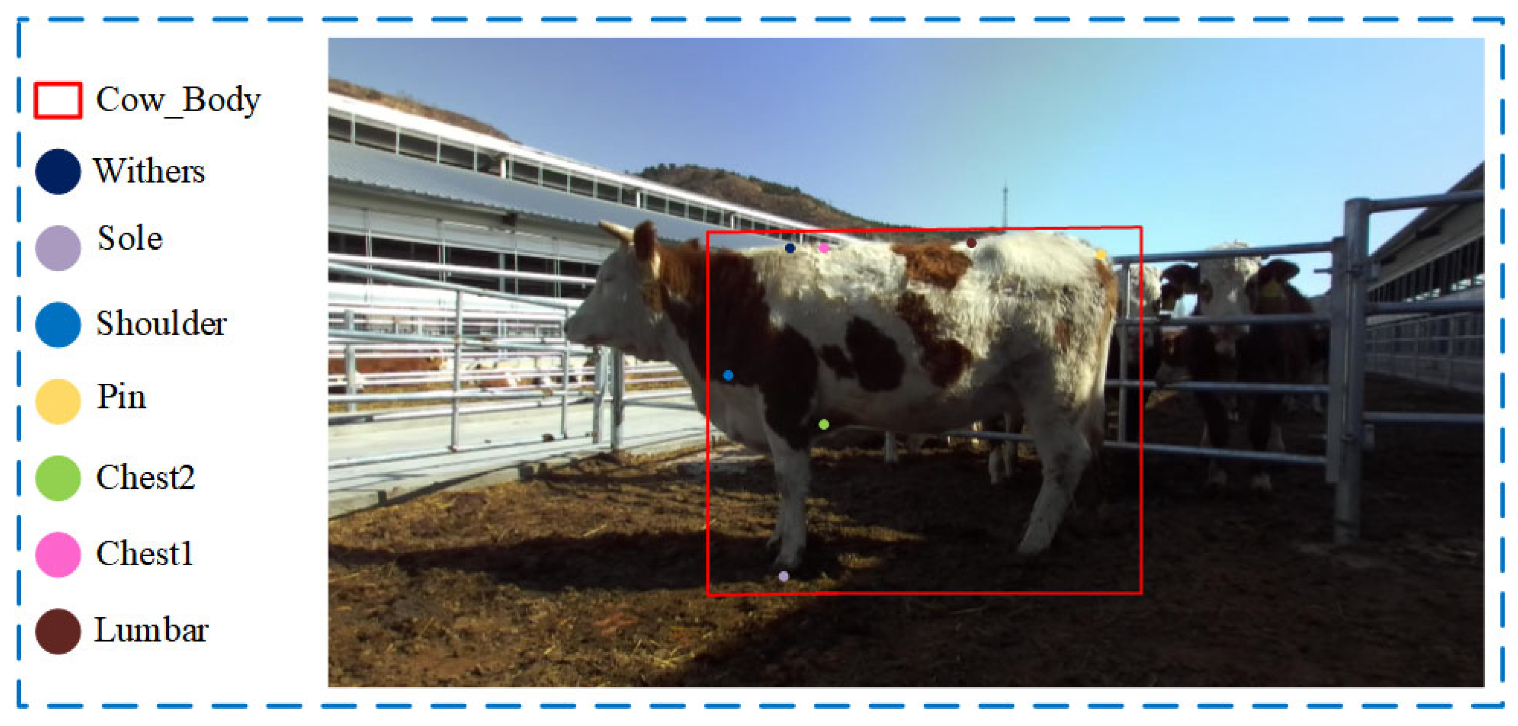 Animals 14 02453 g003