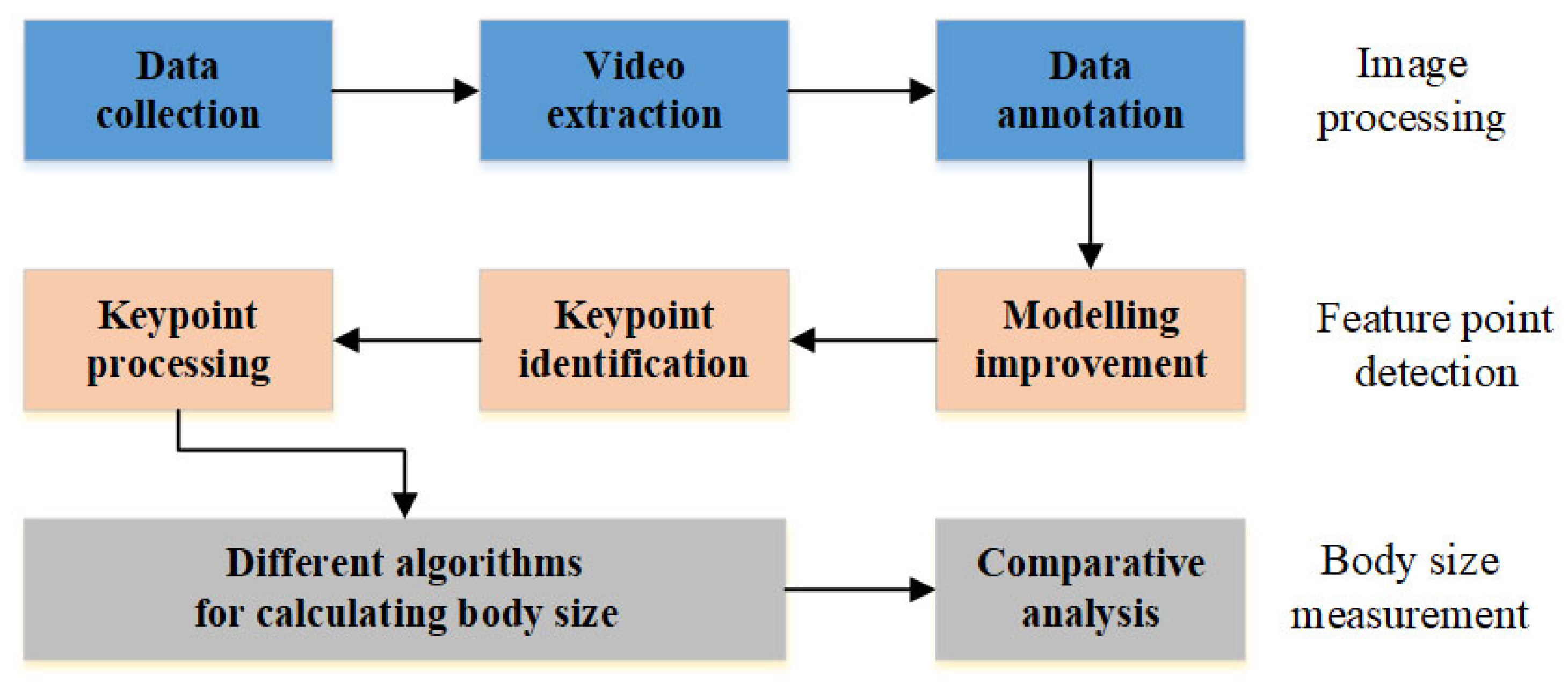 Animals 14 02453 g004