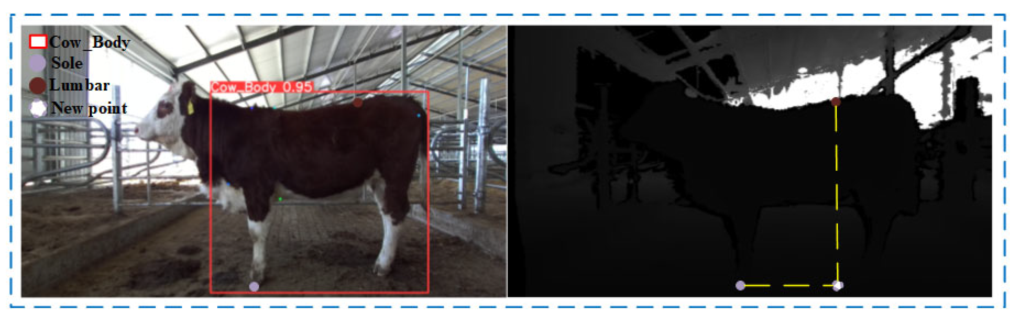 Animals 14 02453 g010