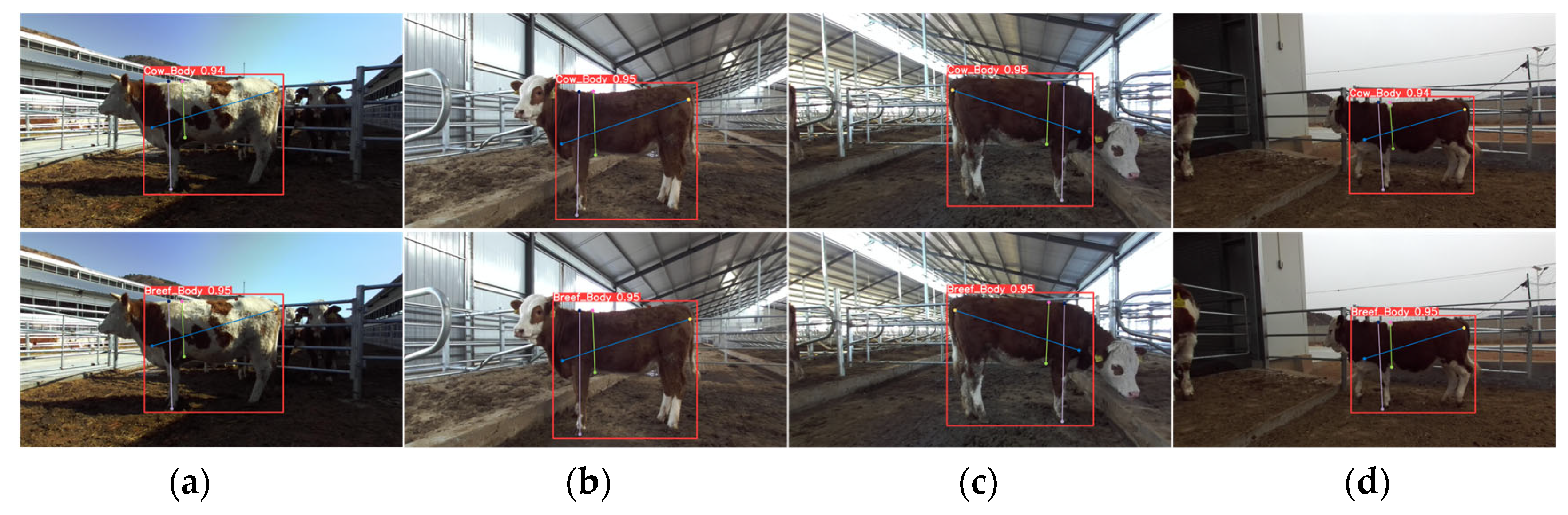 Animals 14 02453 g012