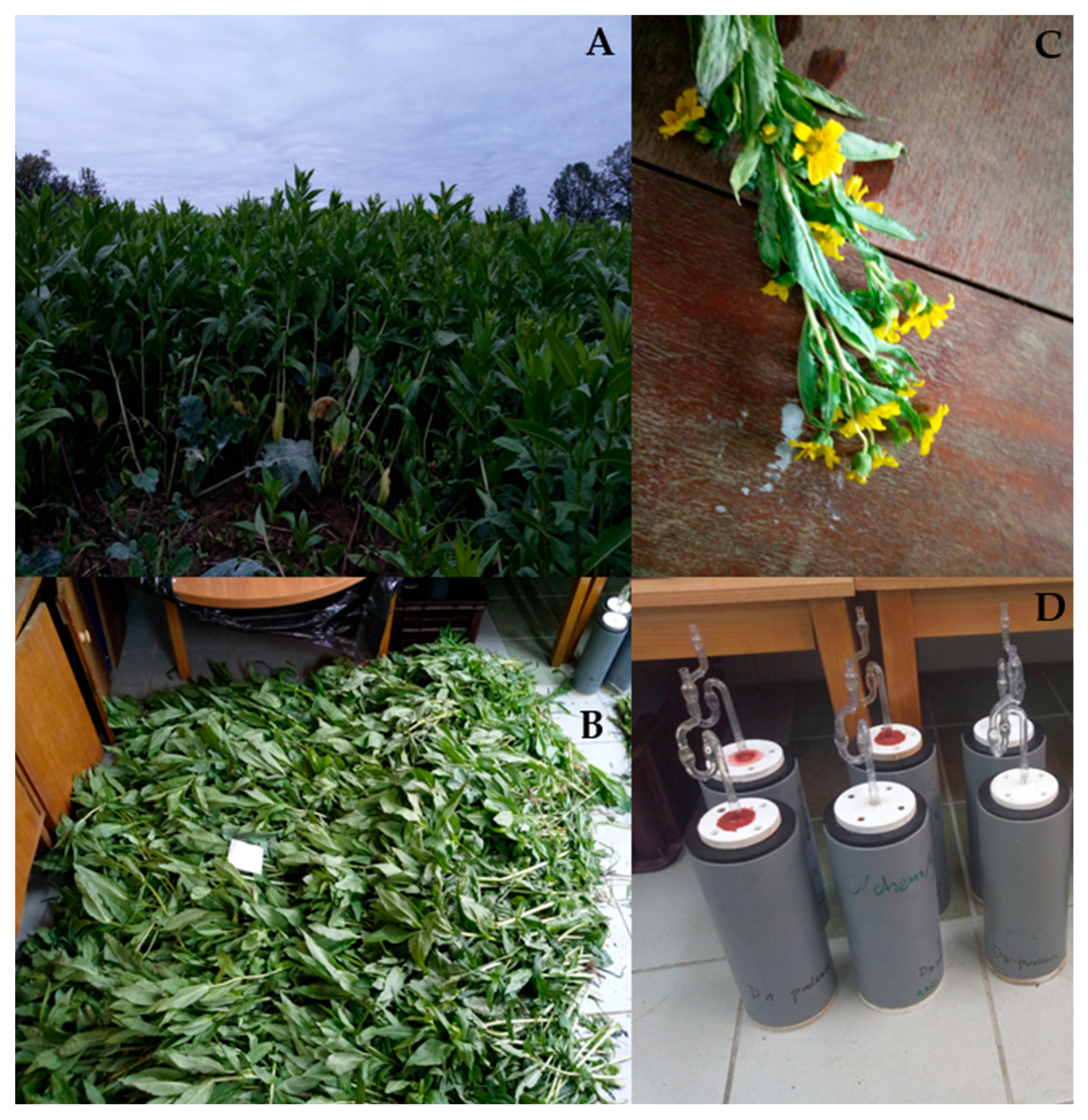 Animals 14 02455 g001