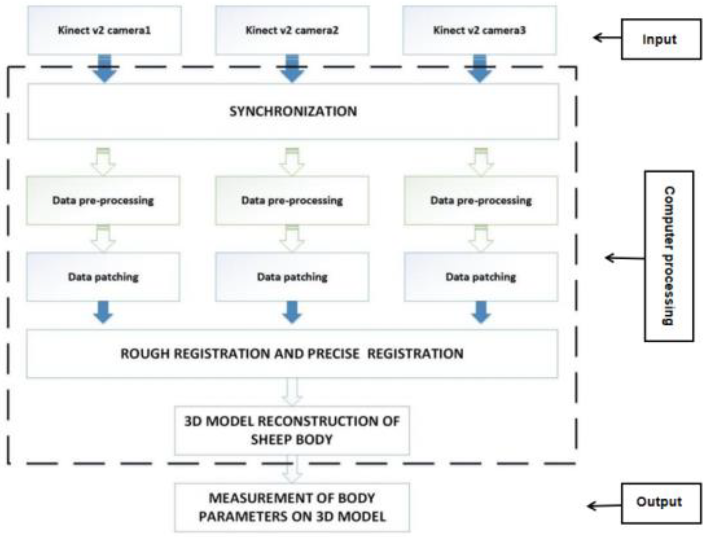 Animals 14 02457 g002