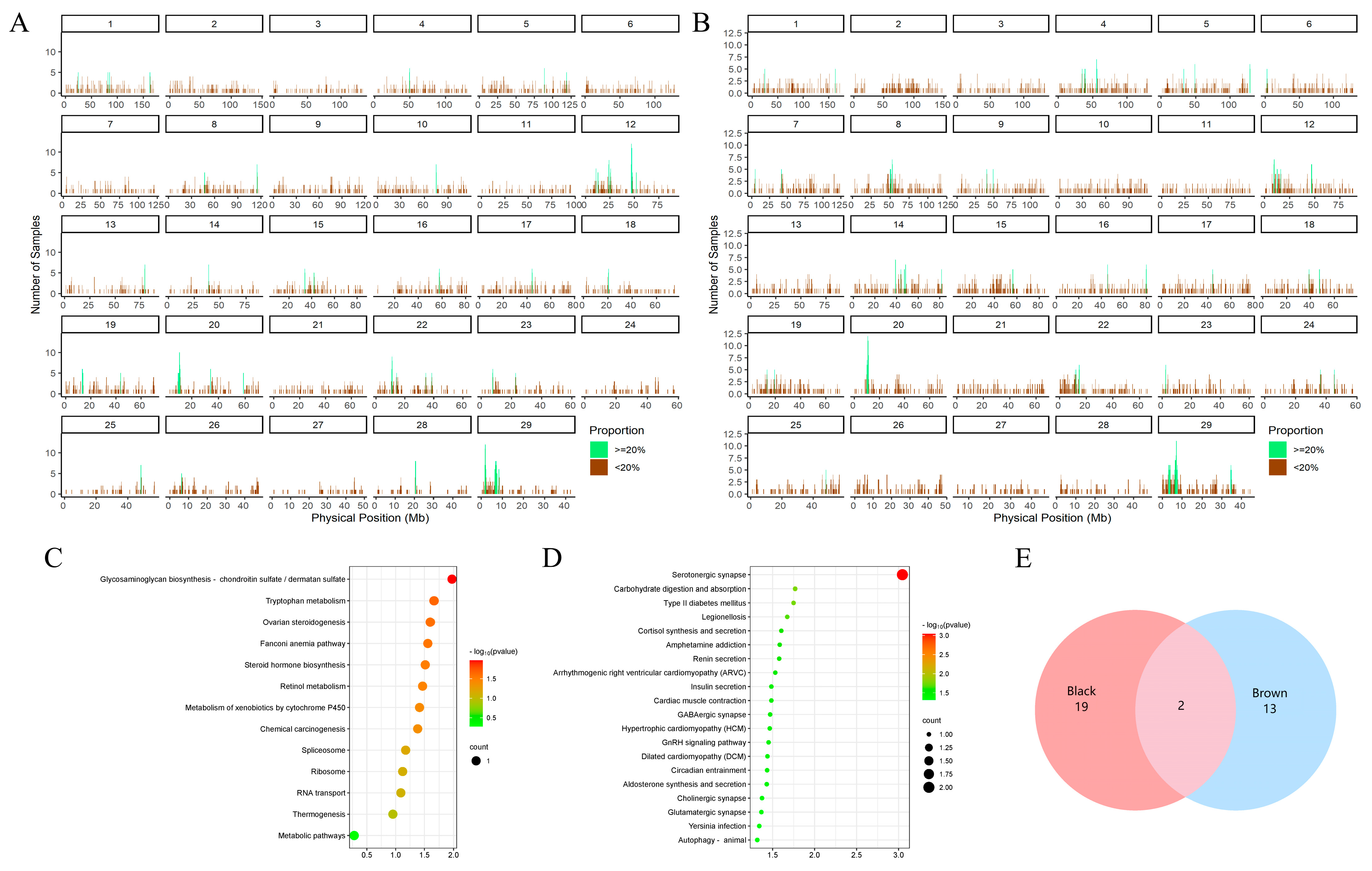 Animals 14 02458 g003 Animals 14 02458 g003