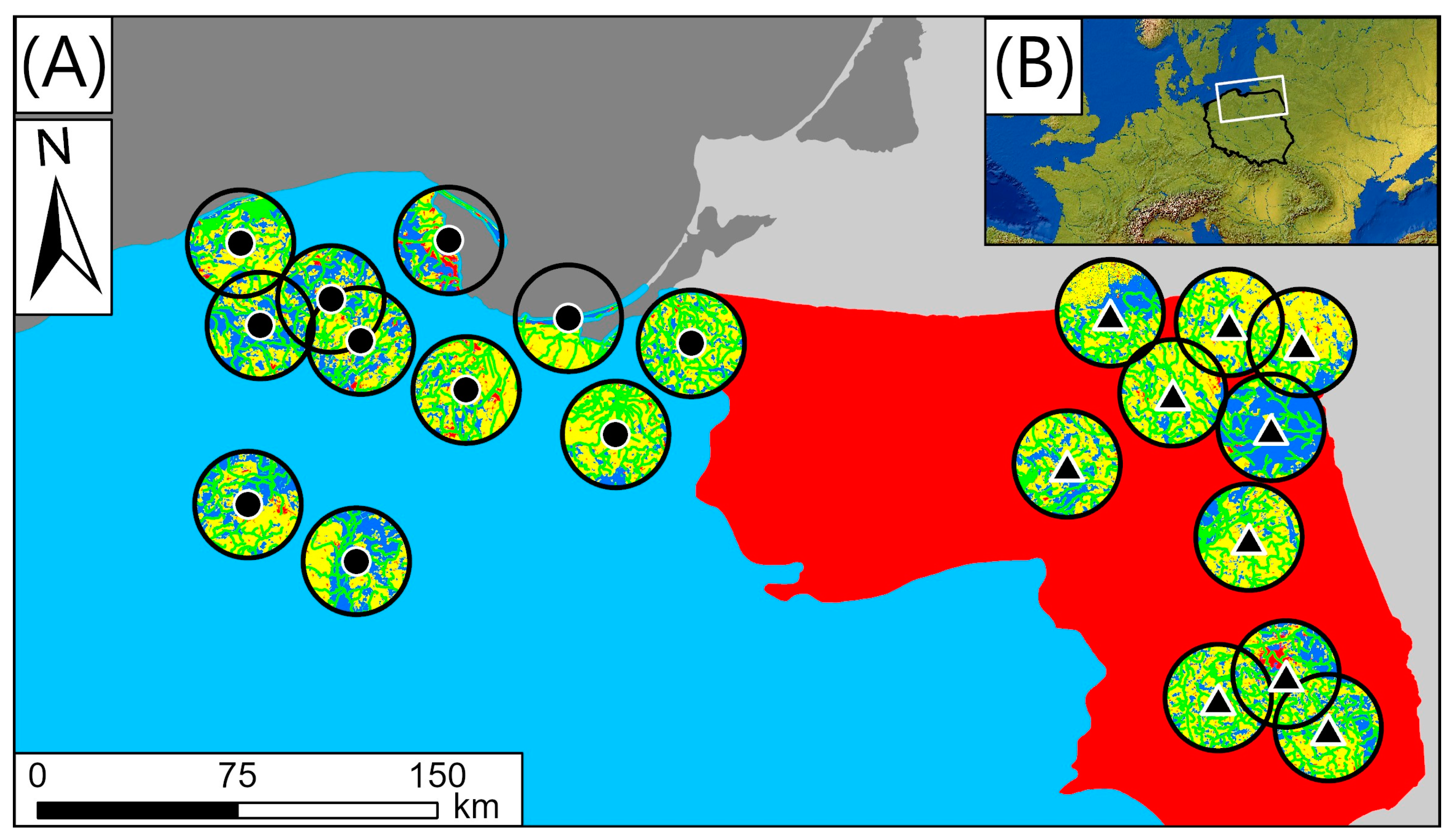 Animals 14 02461 g001