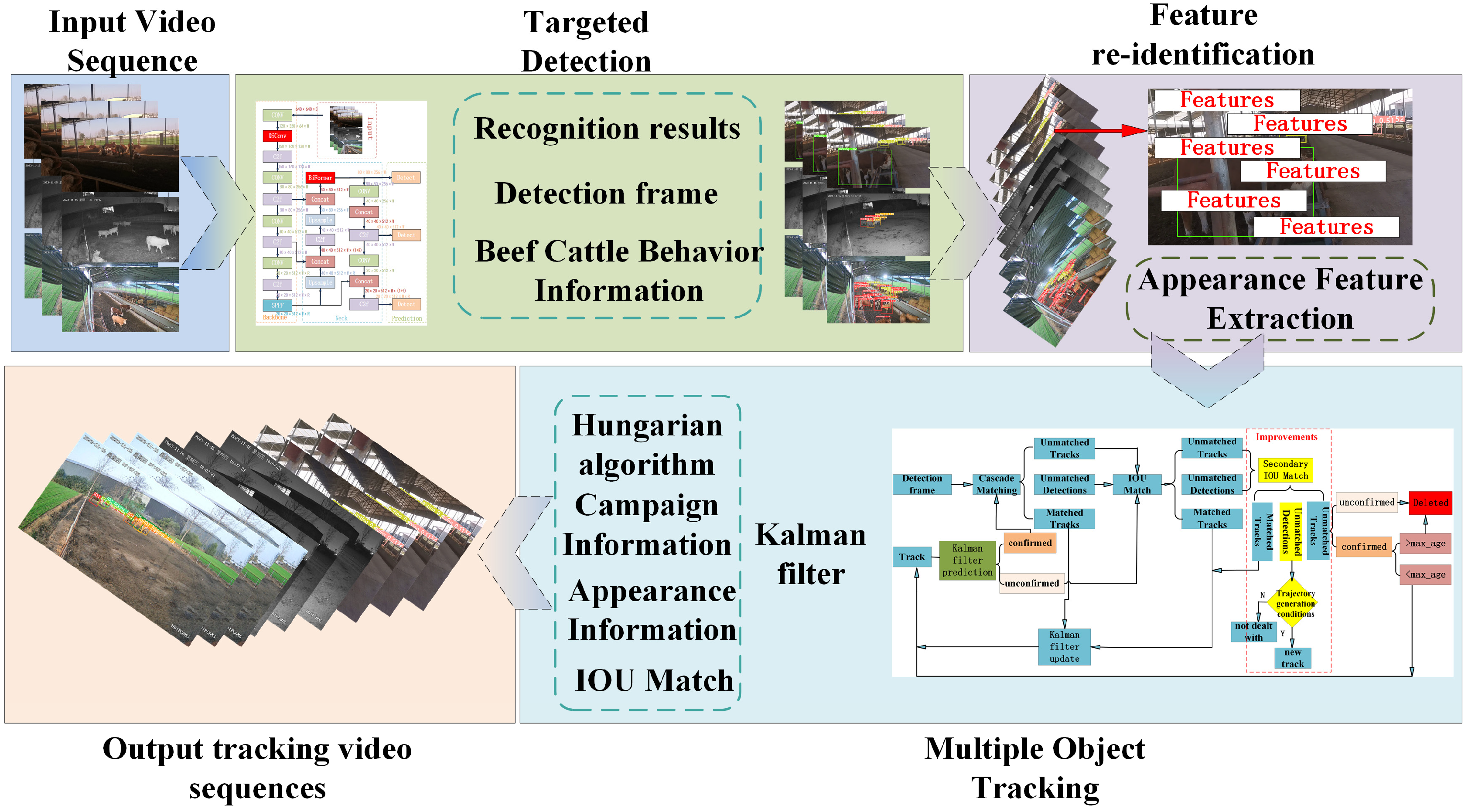 Animals 14 02464 g005