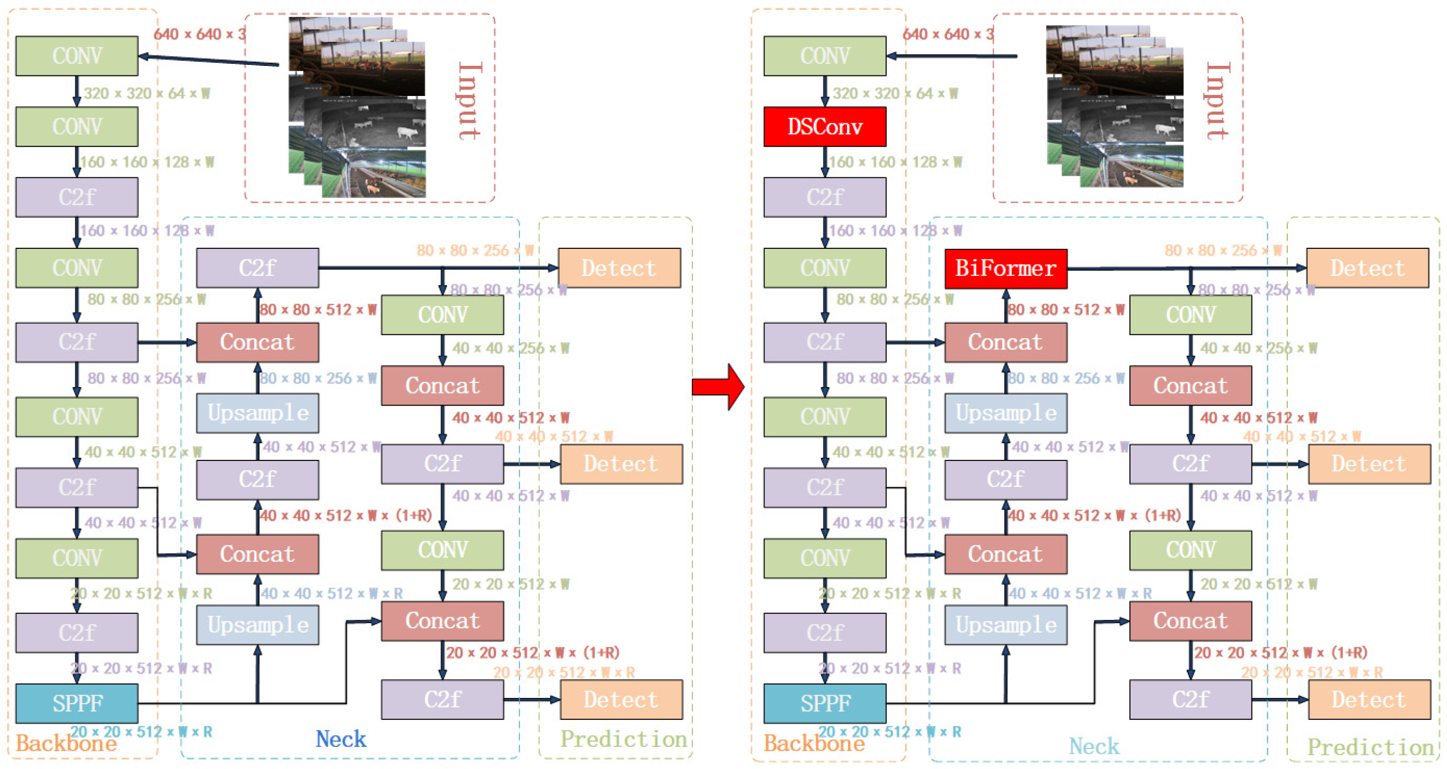 Animals 14 02464 g007
