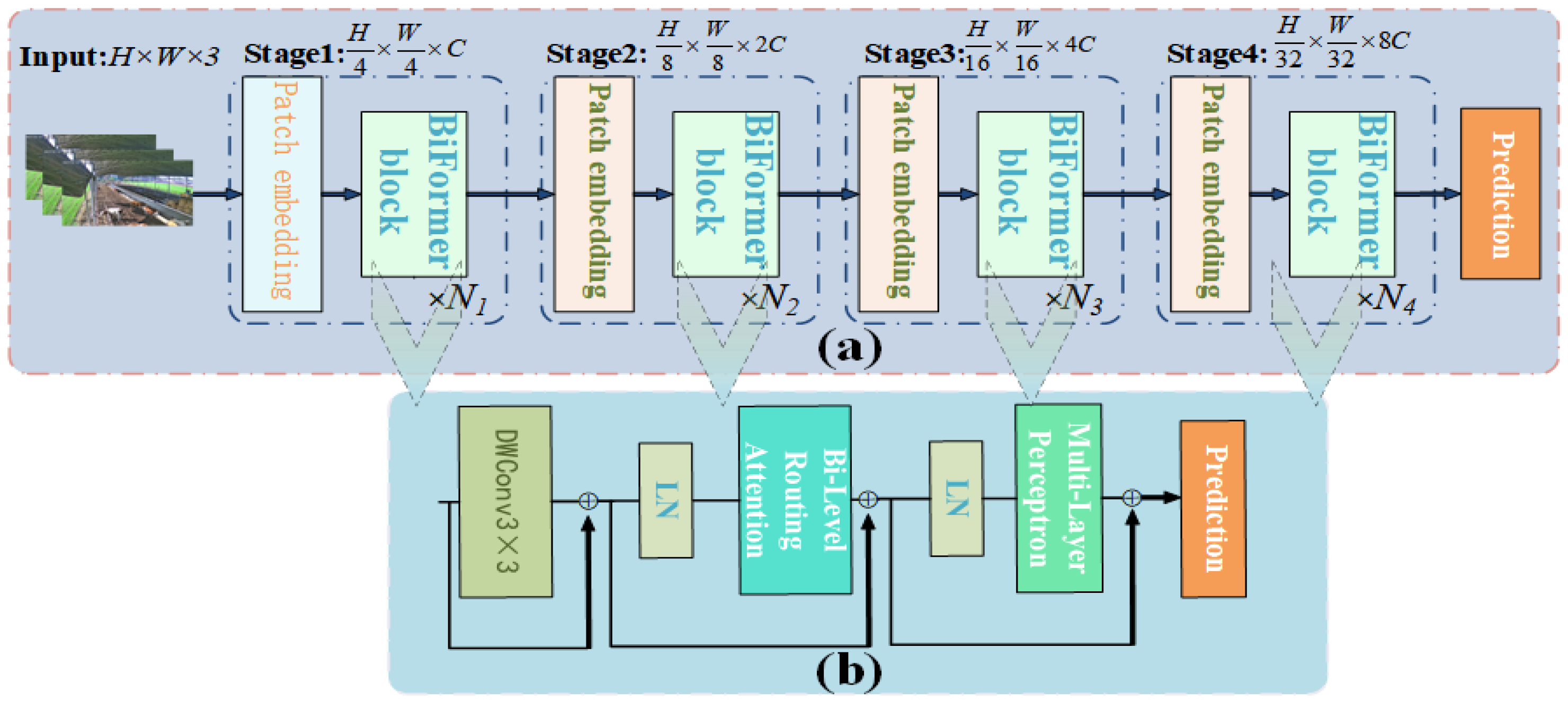 Animals 14 02464 g009